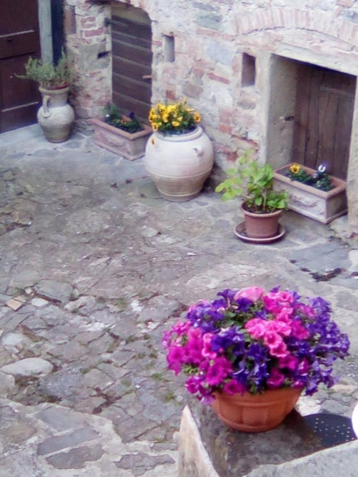 Photo 38