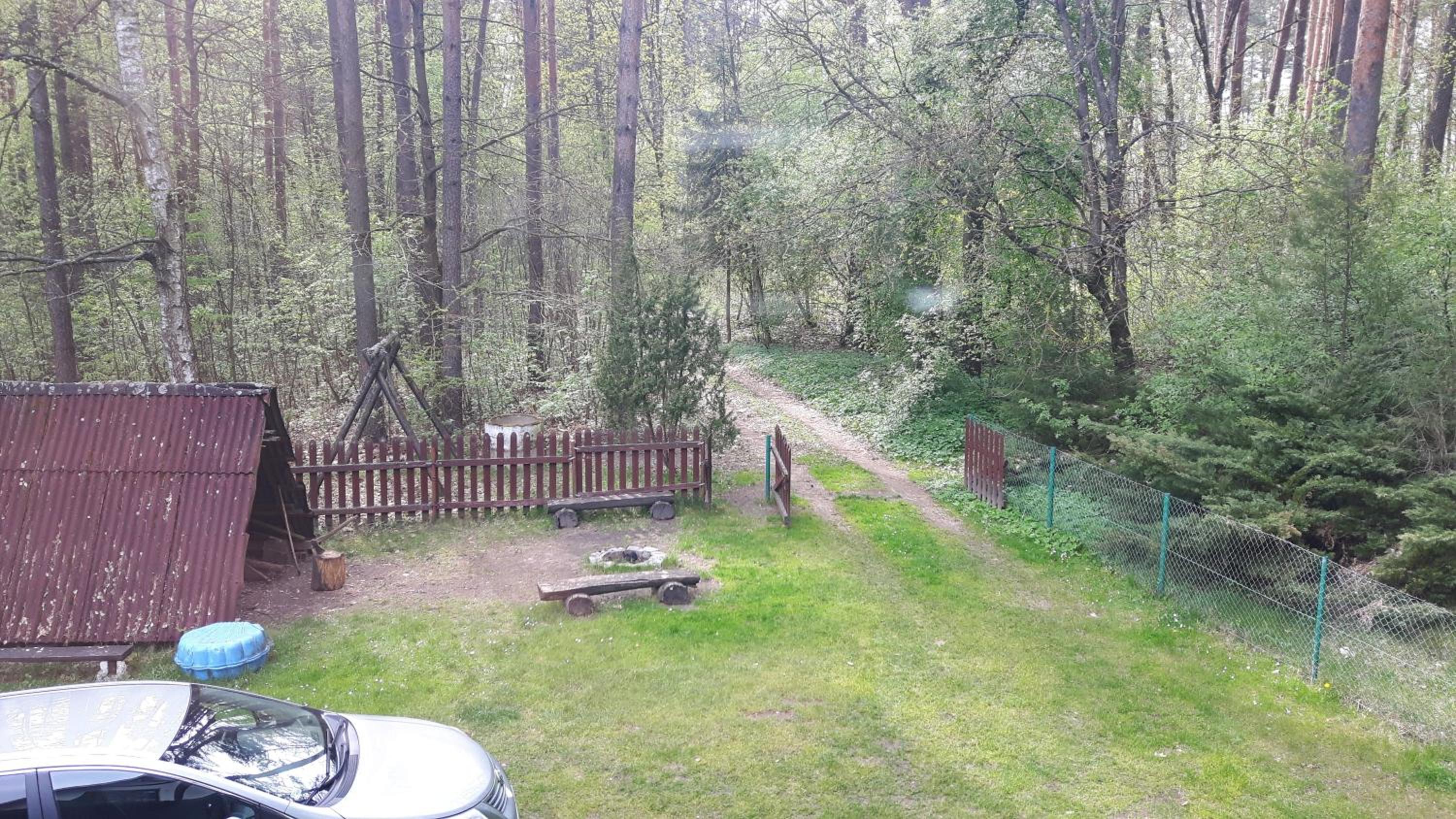 Photo 10