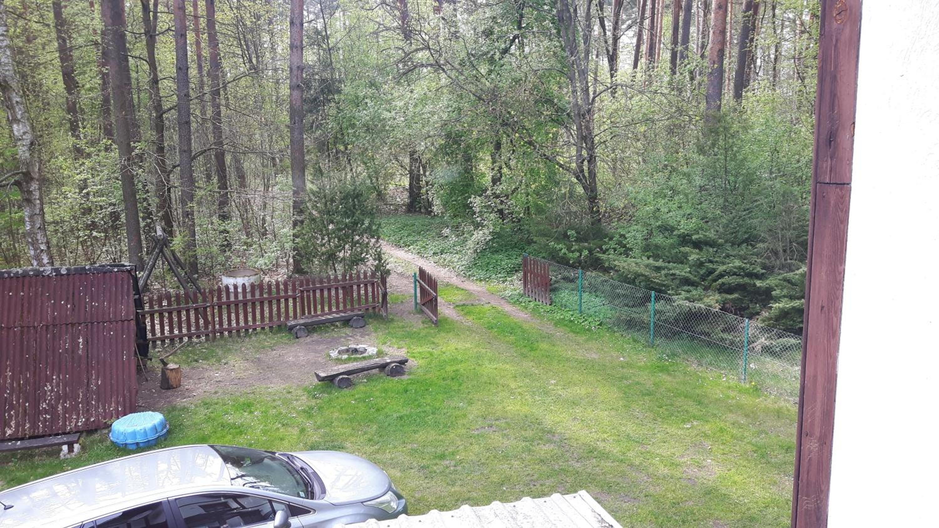 Photo 11