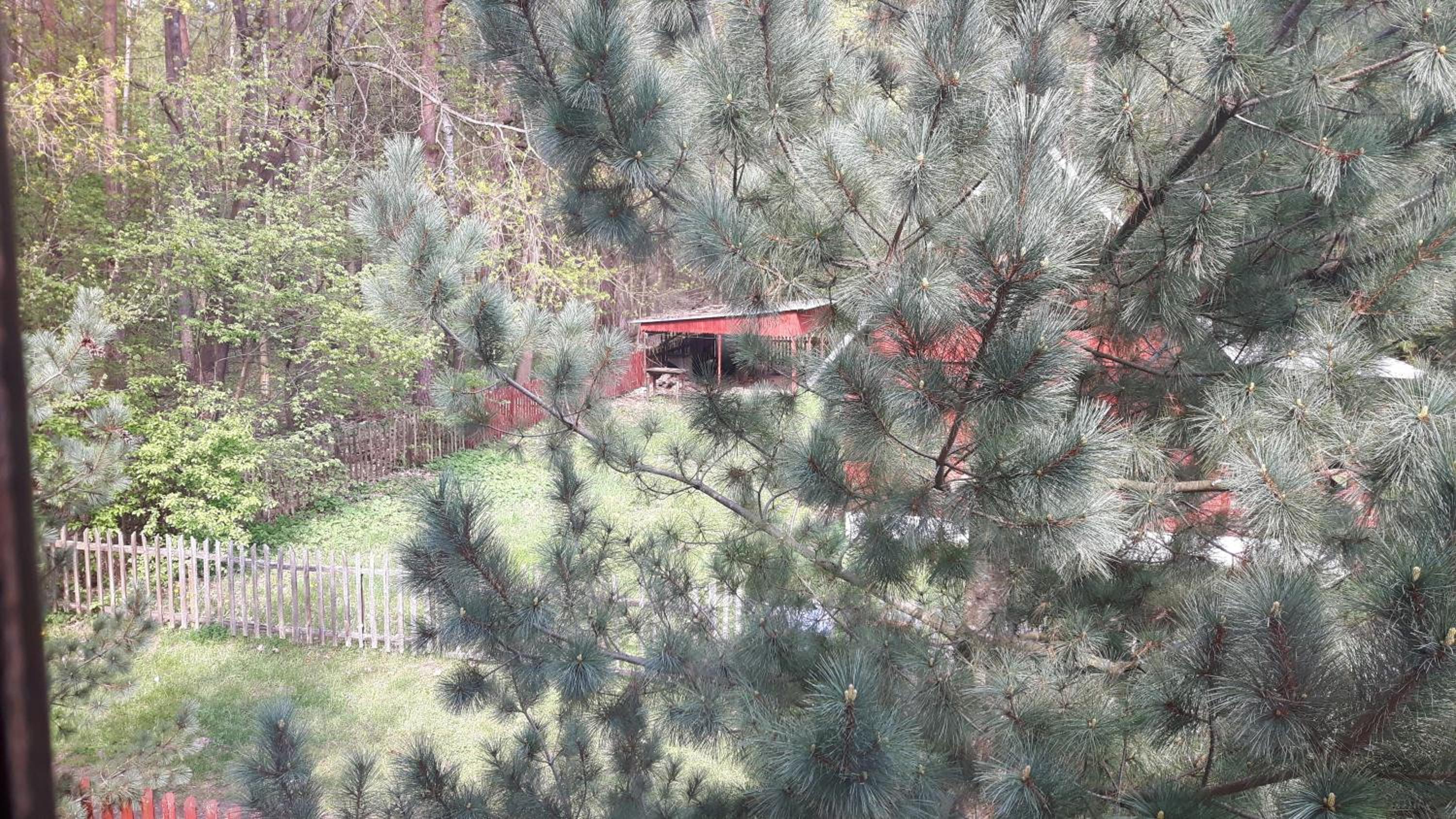 Photo 13