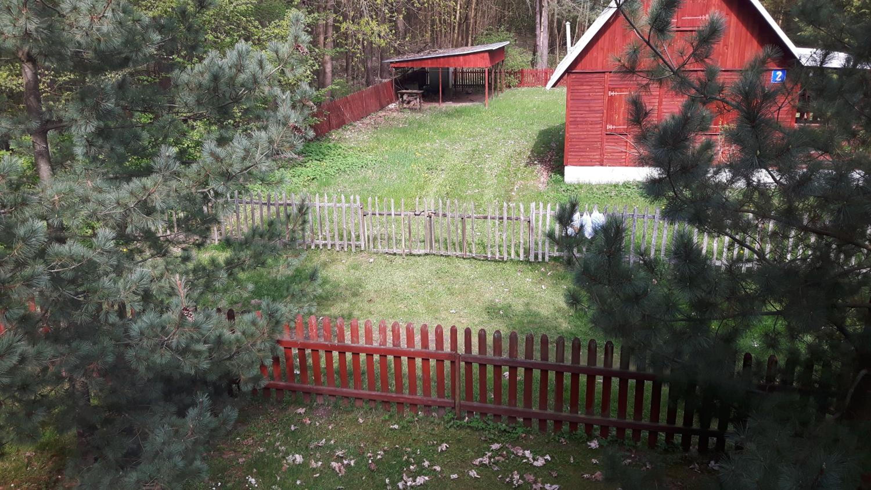 Photo 14