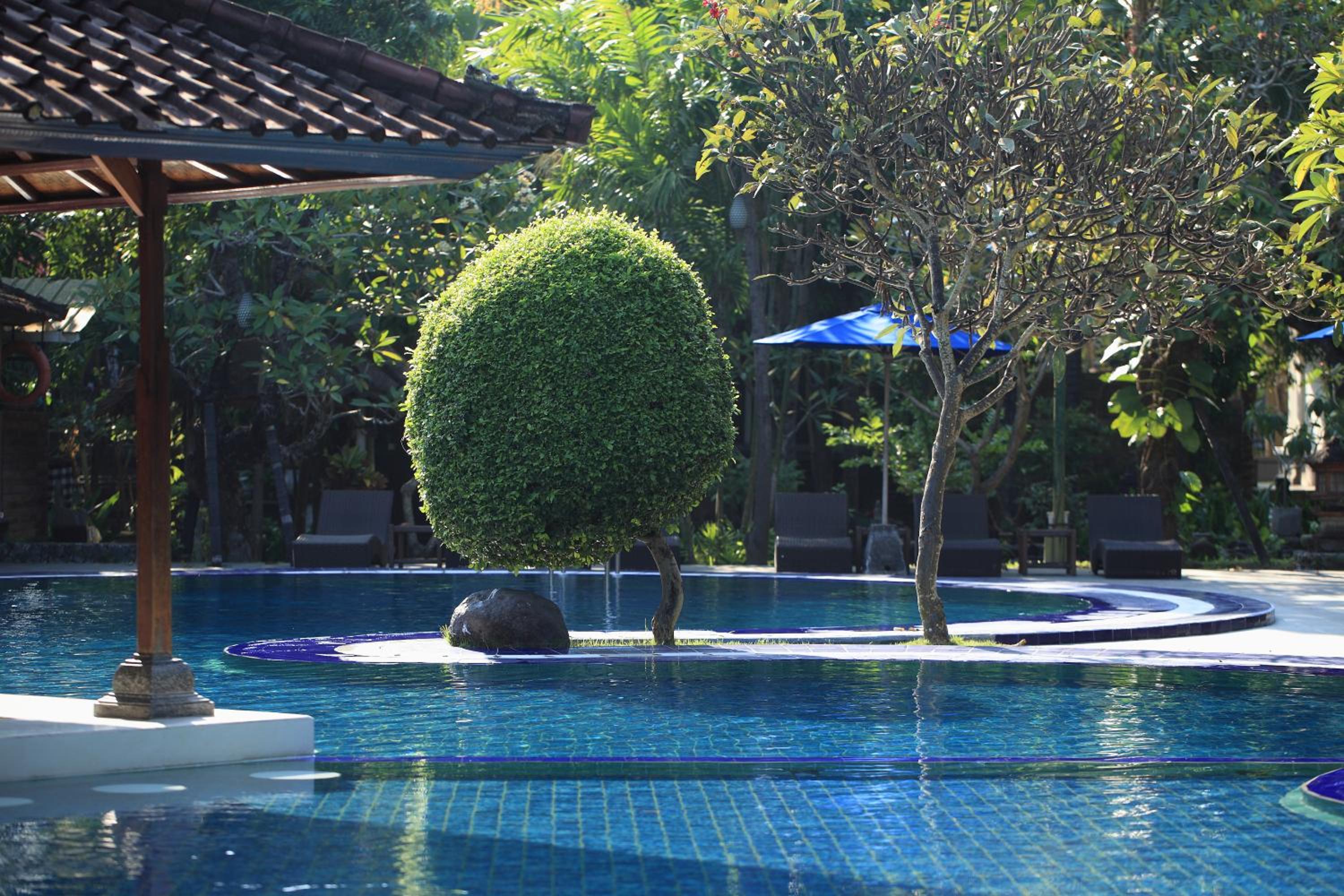 Matahari Bungalow view 5