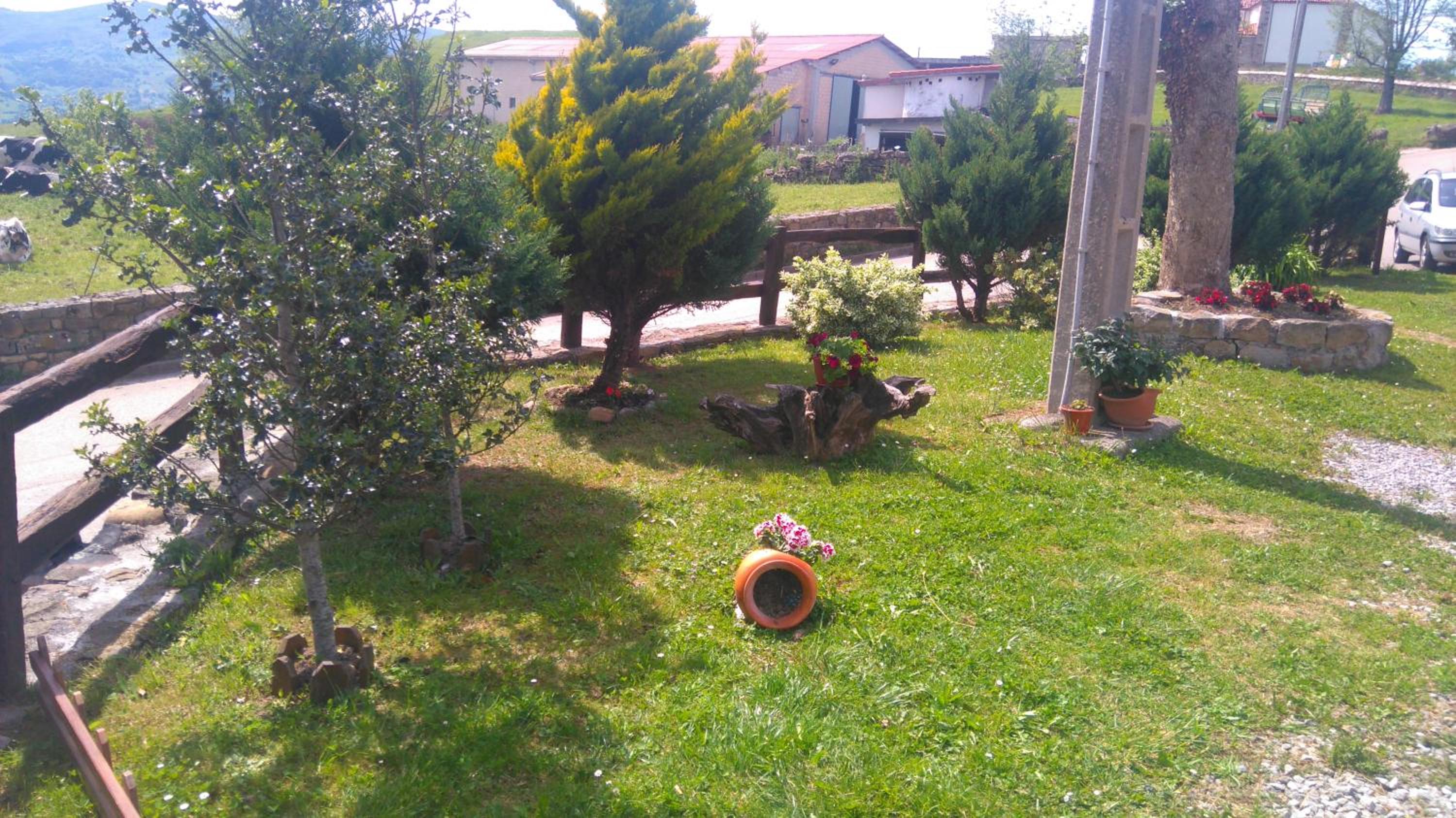 Photo 12