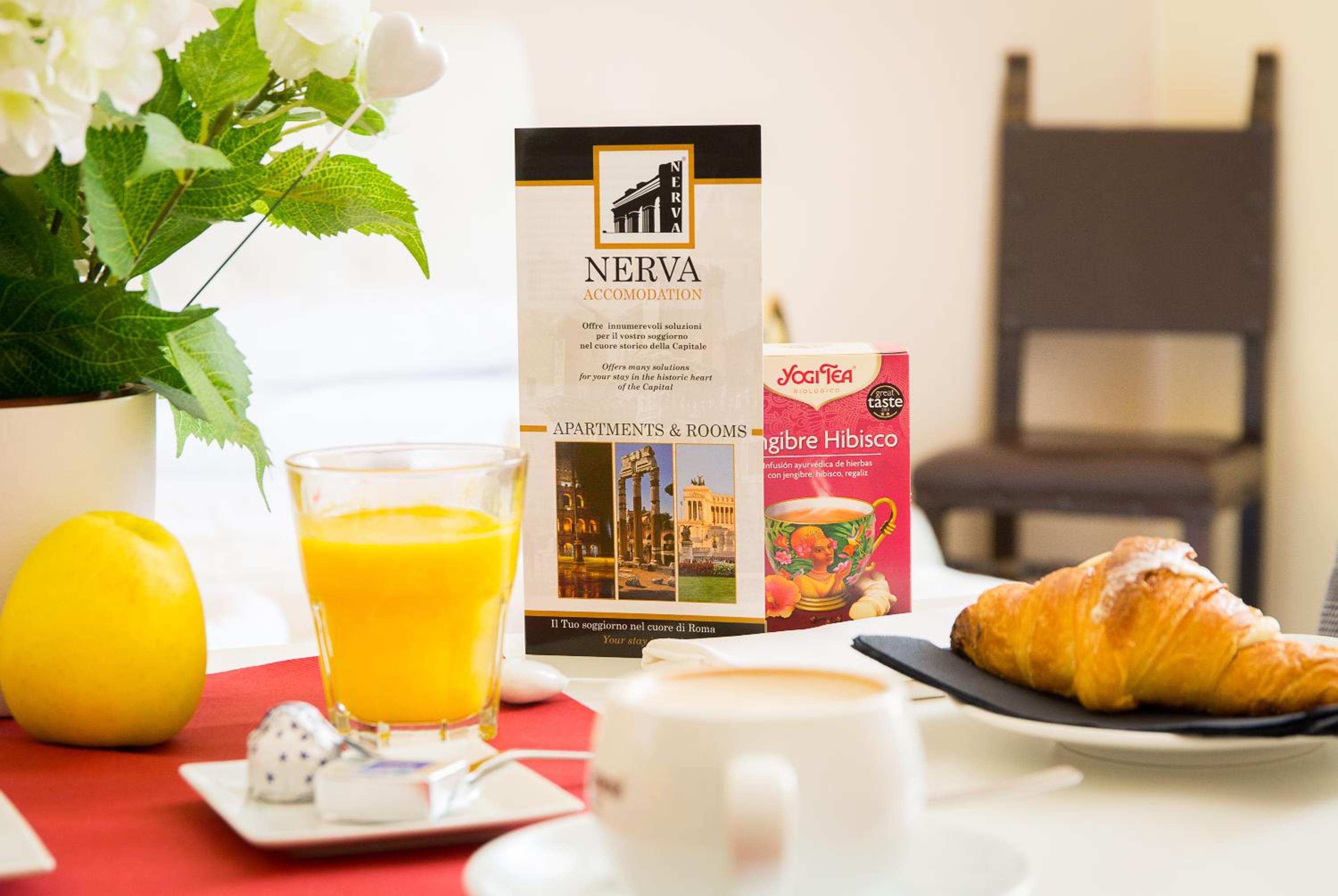Nerva Accommodation