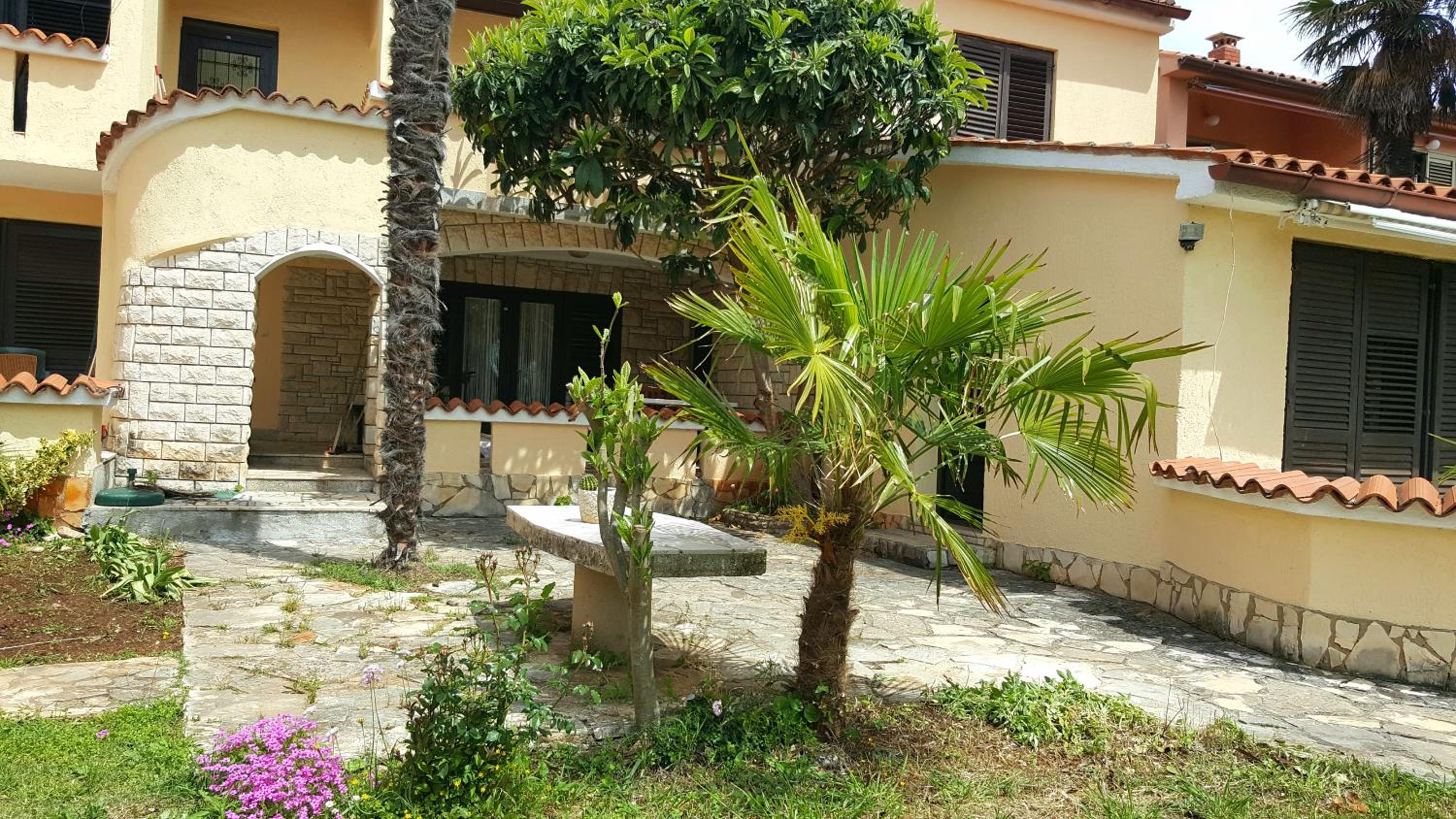 Apartmani Koin