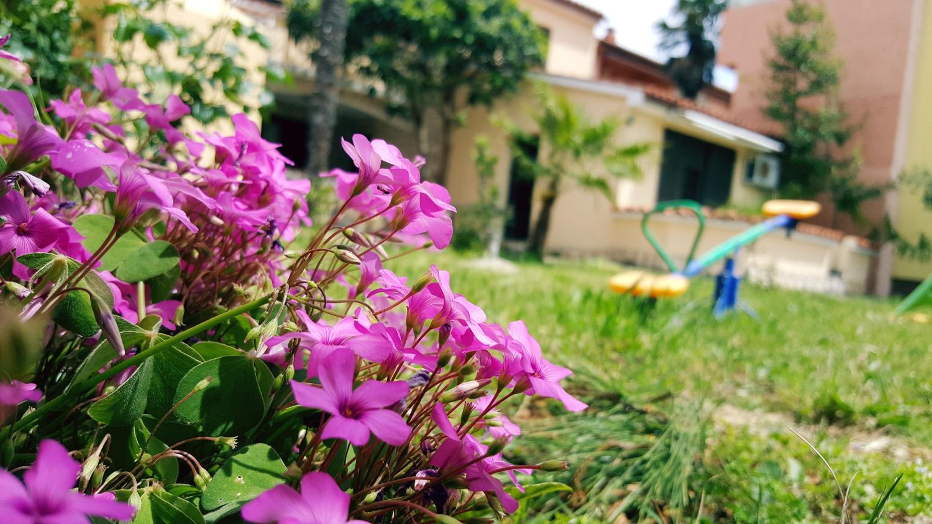 Apartmani Koin