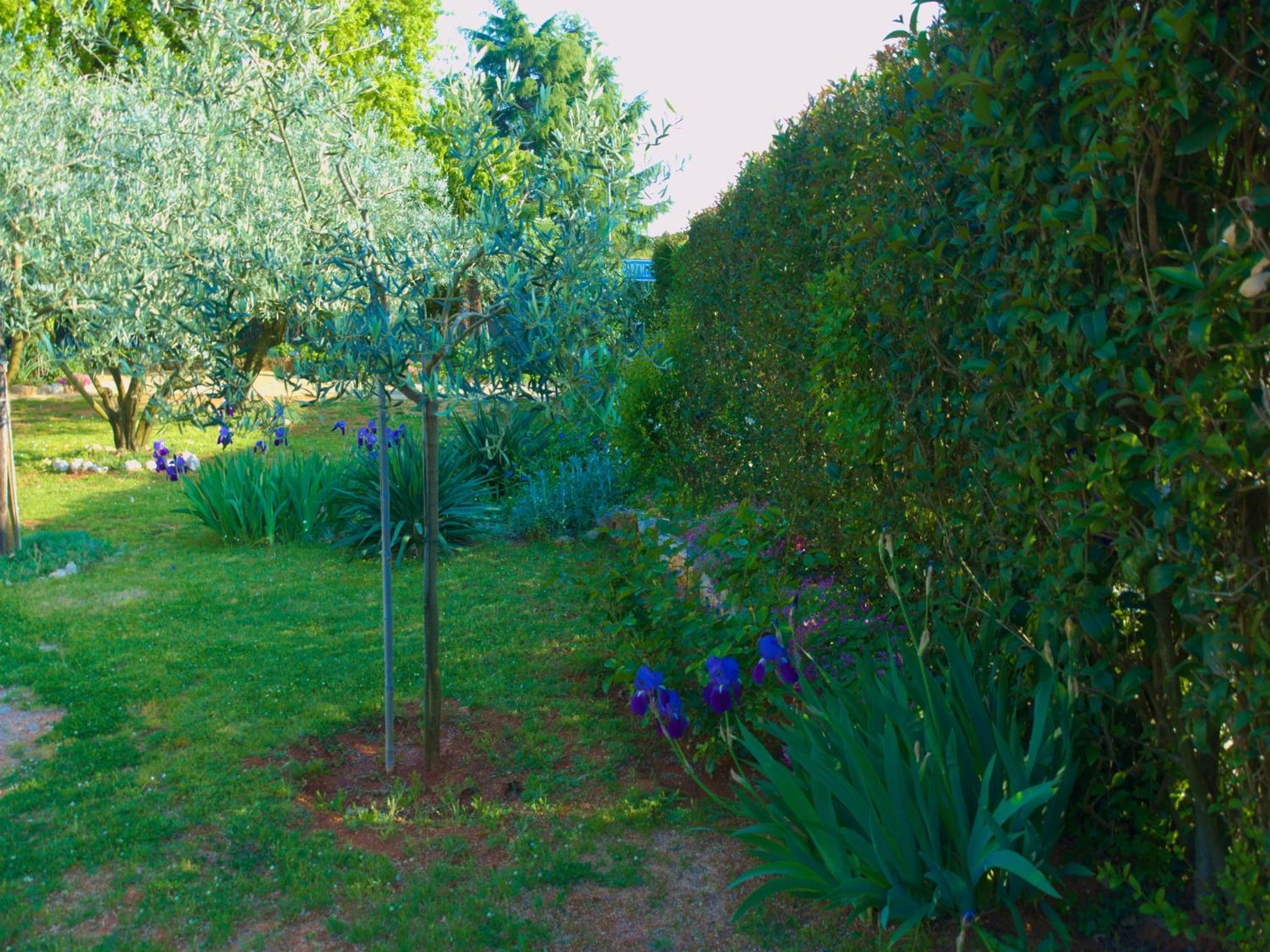 Photo 22