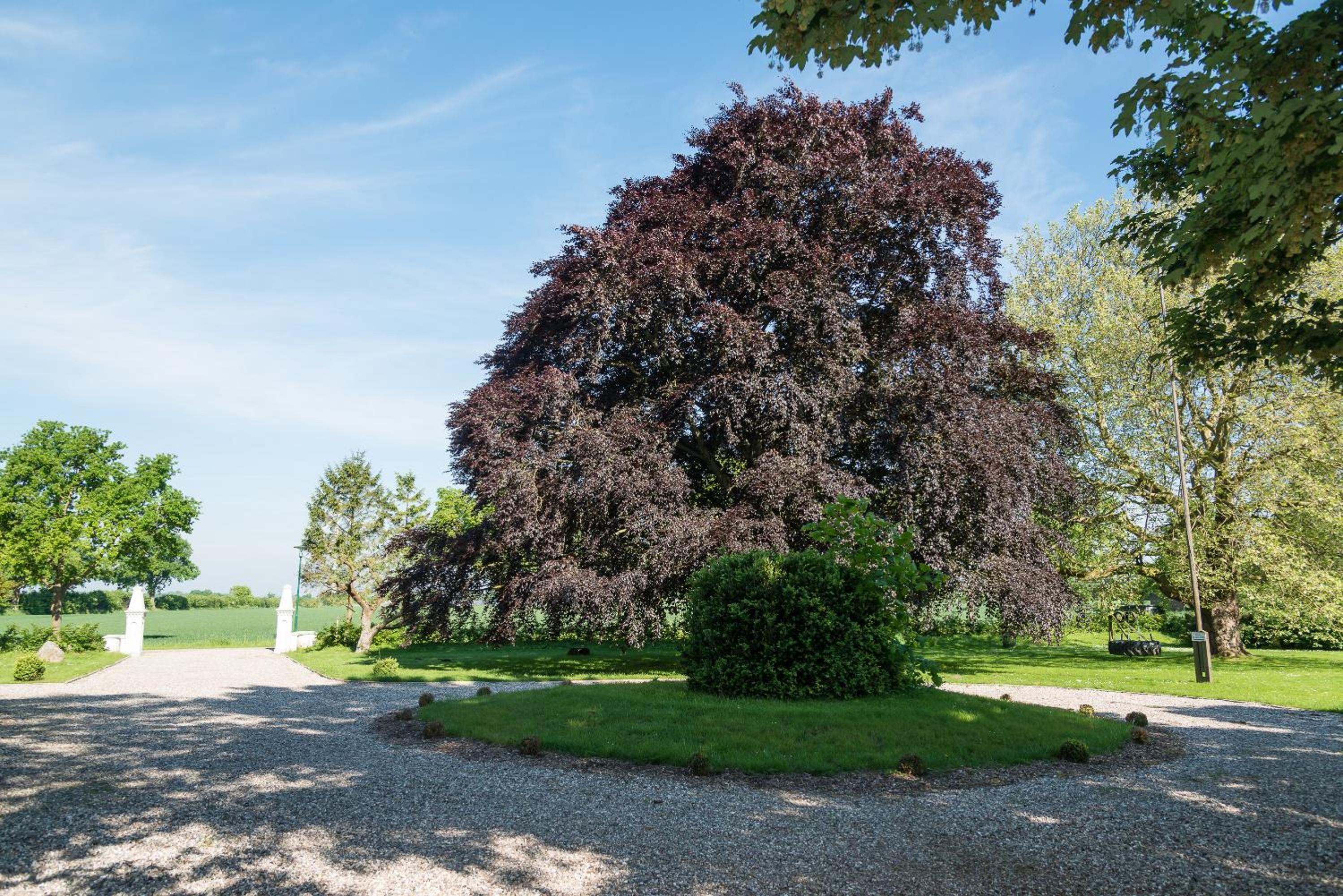Ferienhof Kolauerhof - Bauernhofurlaub in Grömitz