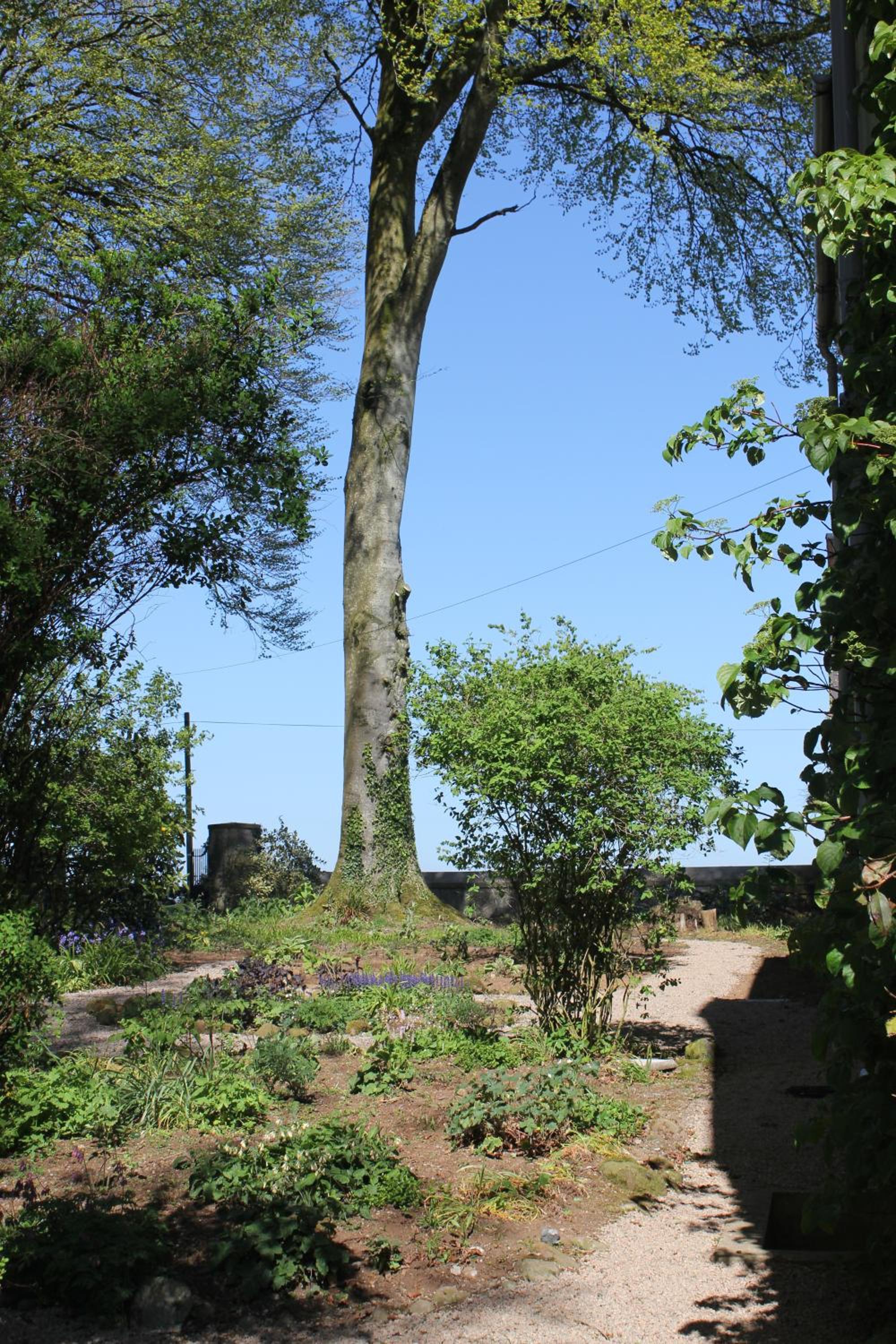Photo 41