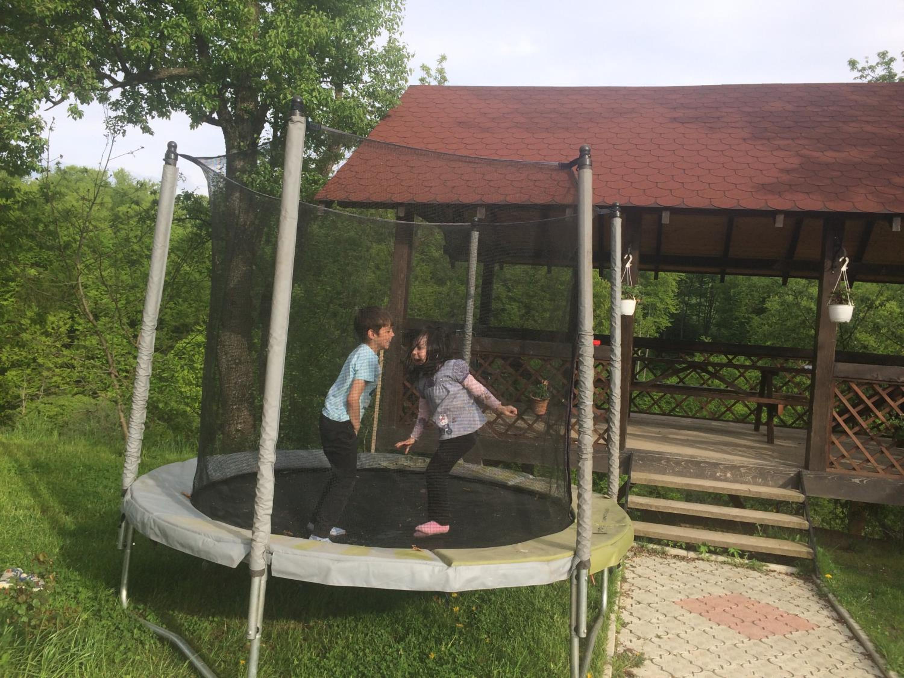 Photo 44