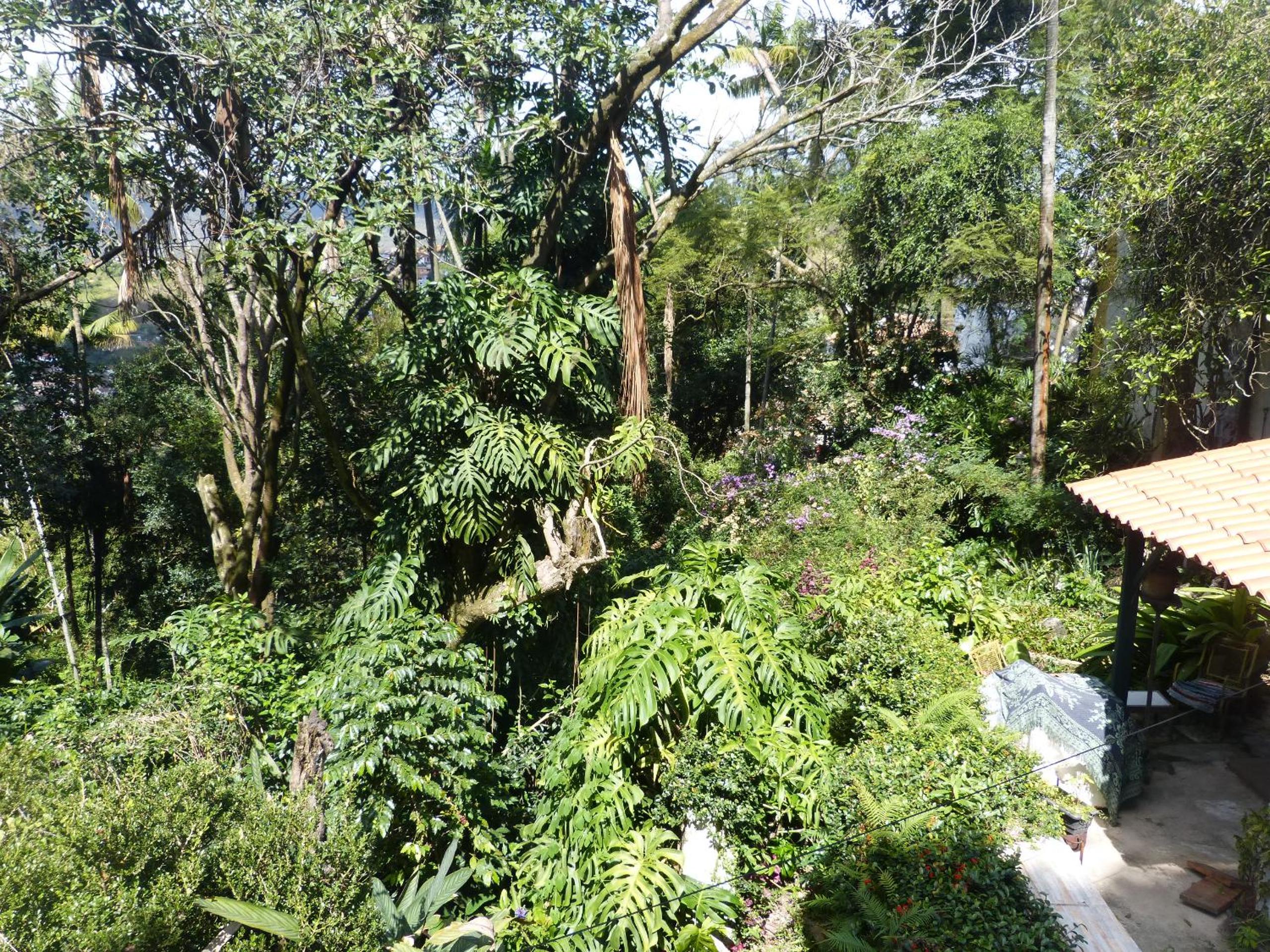 Pouso das Glicínias - B&B