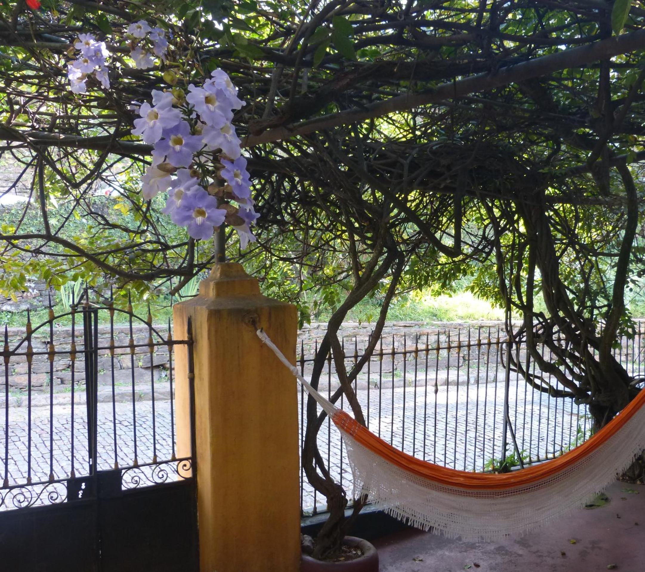 Pouso das Glicínias - B&B