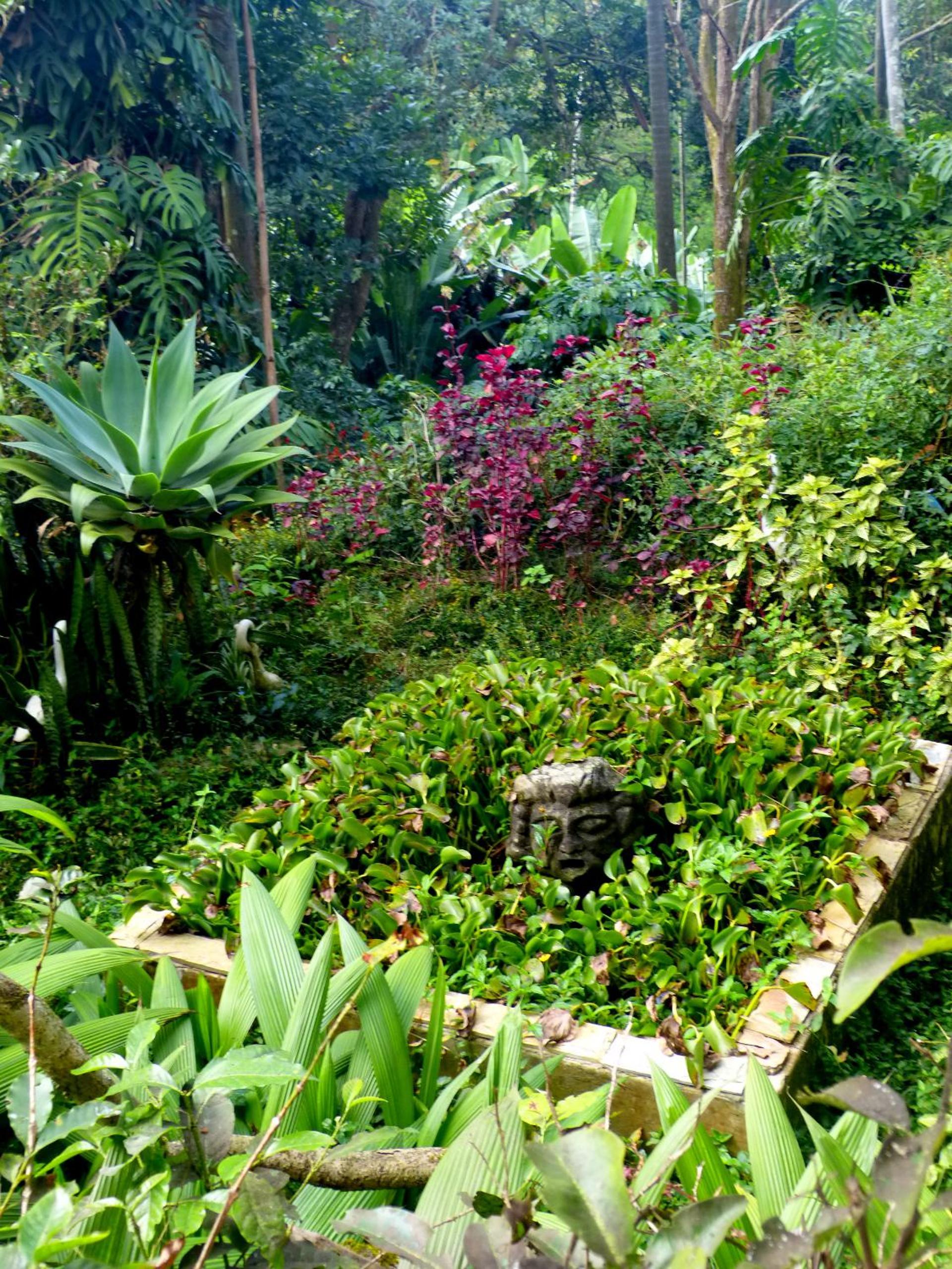Pouso das Glicínias - B&B