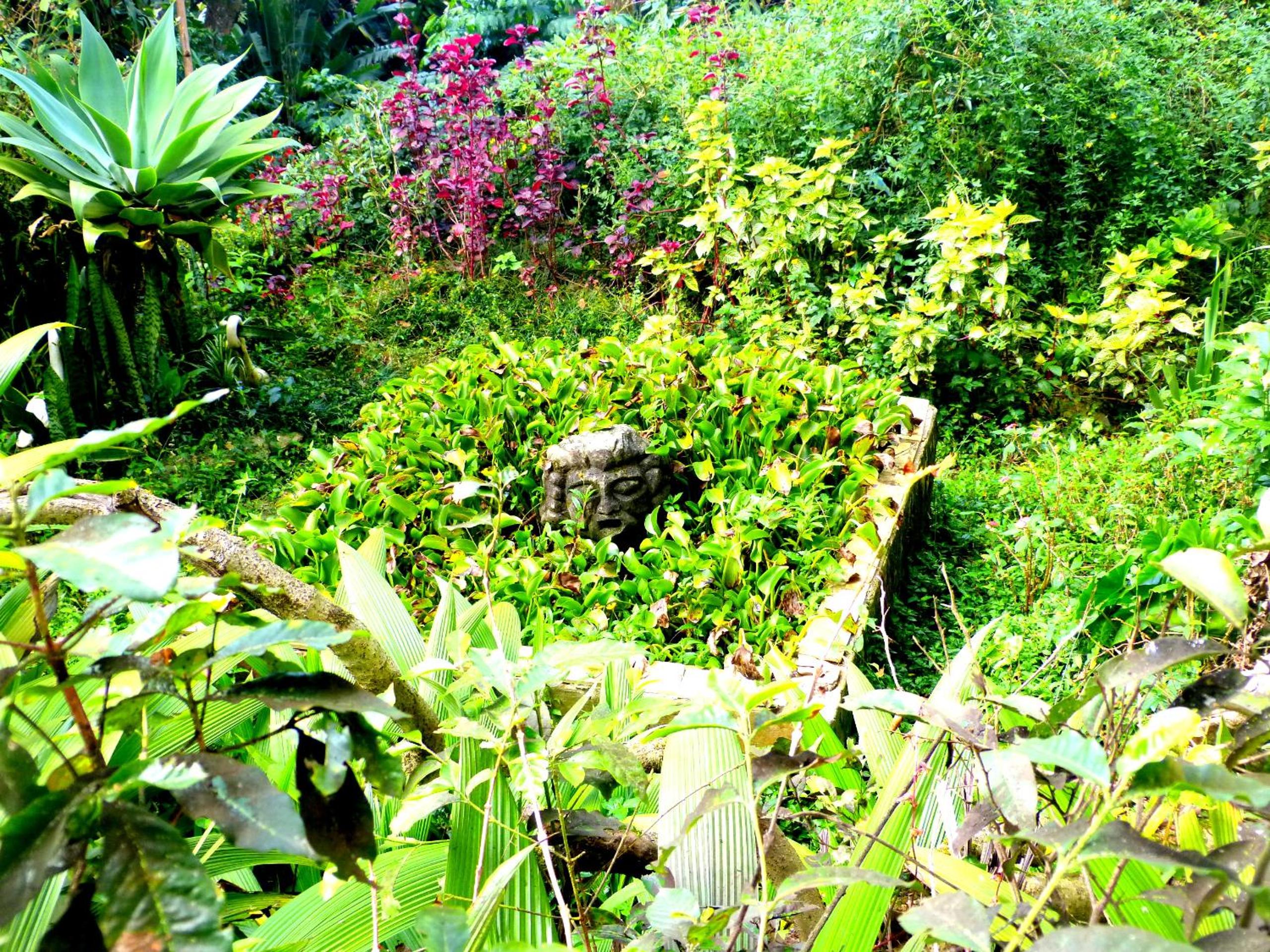 Pouso das Glicínias - B&B