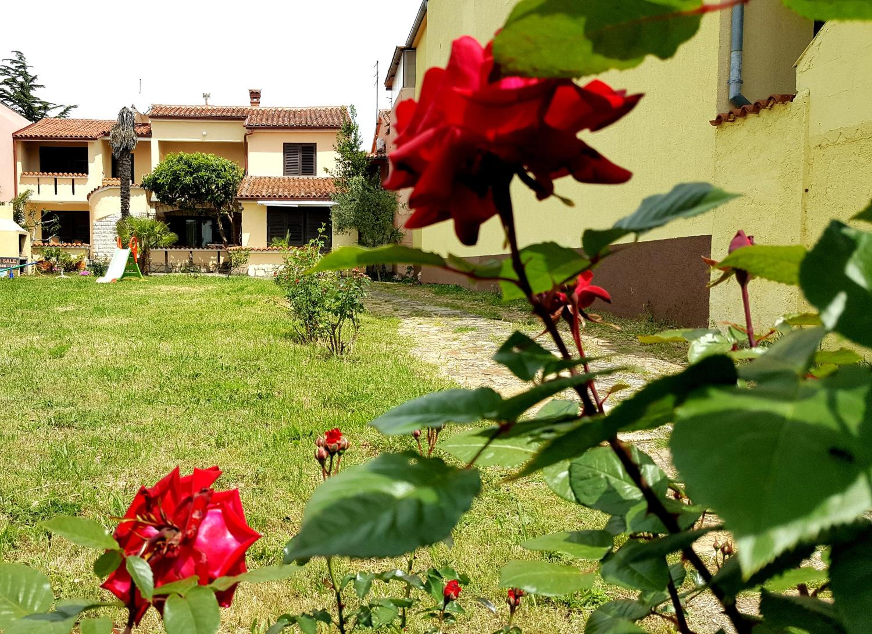 Apartmani Koin