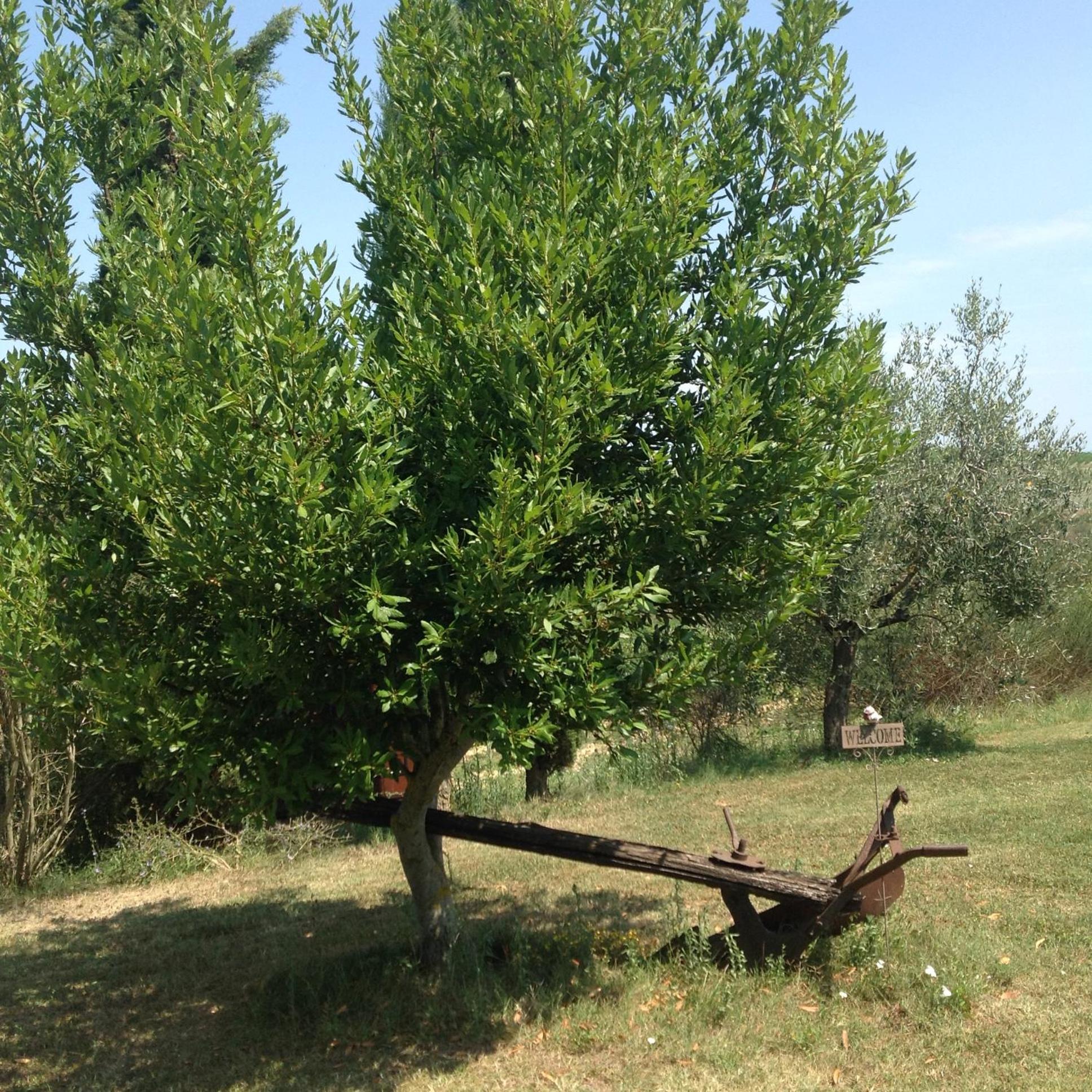 Teruzzi Country House view 5