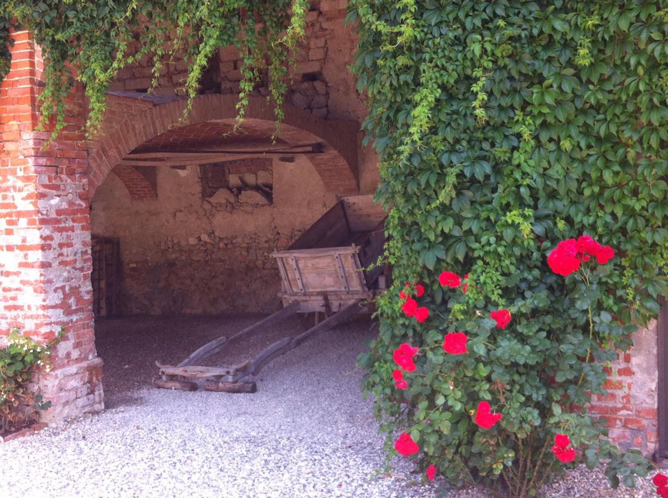 Photo 46