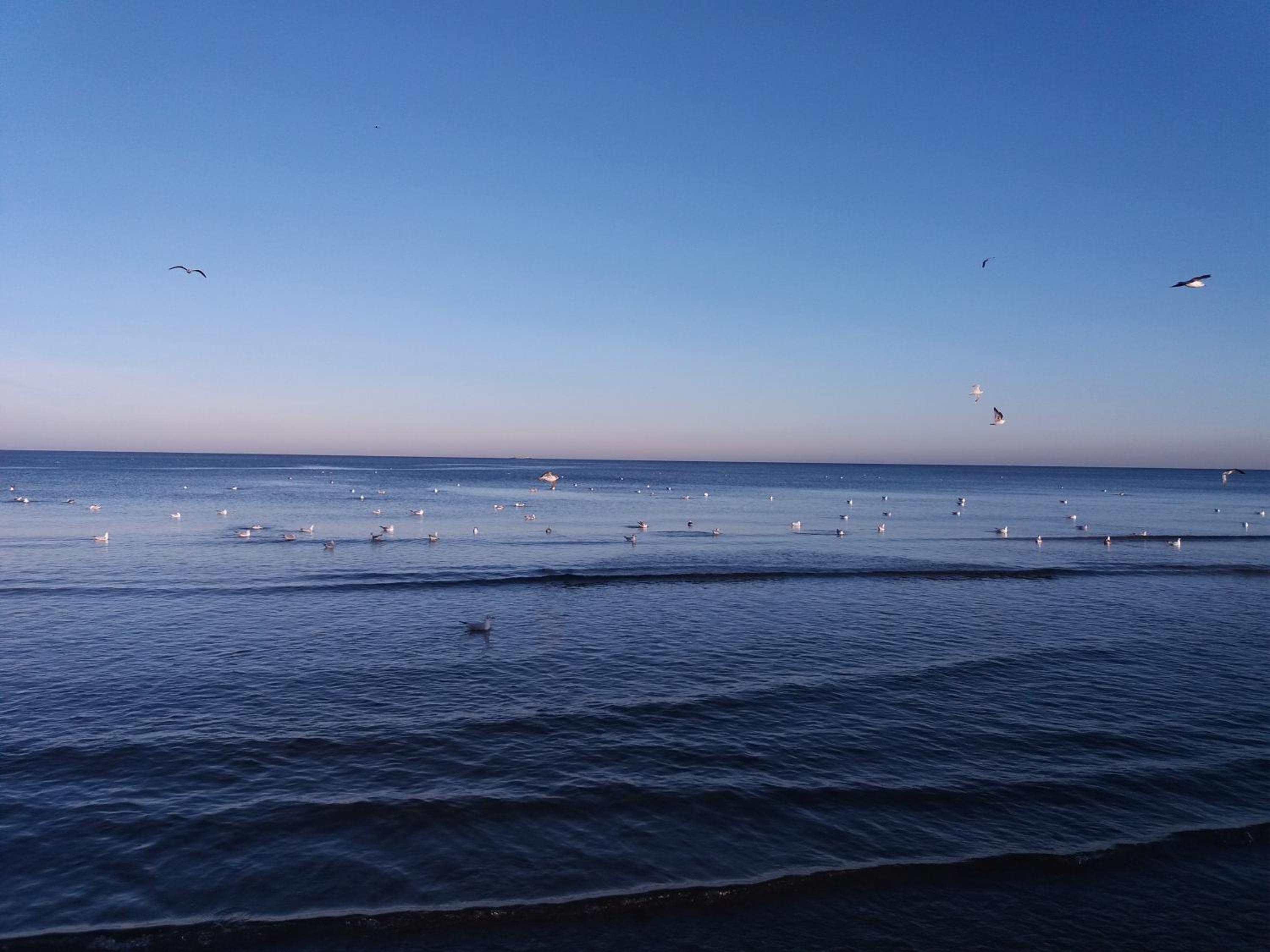 other