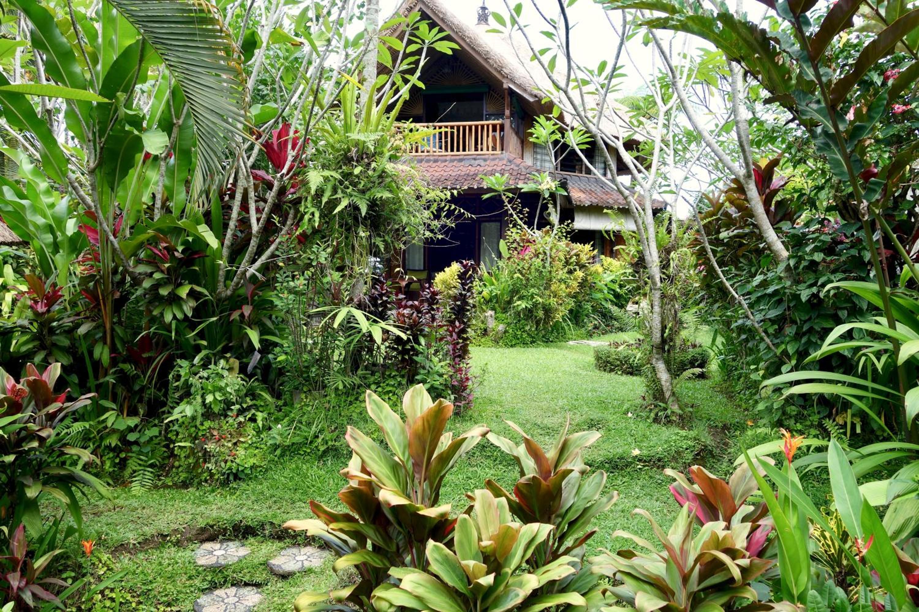 Bali Firefly BnB view 4