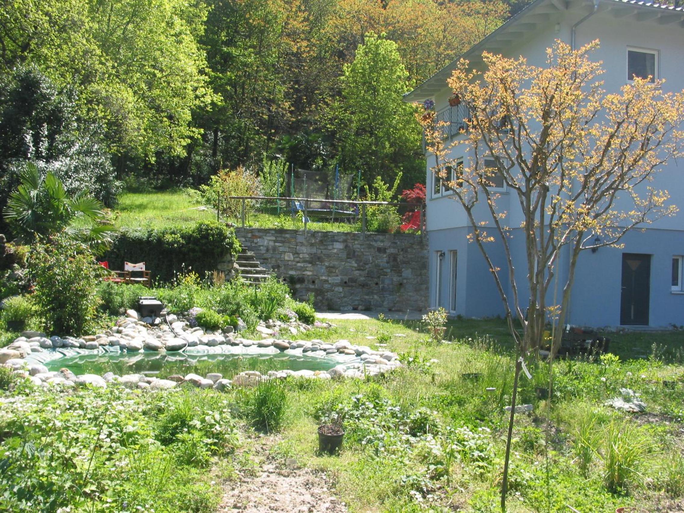 Photo 38