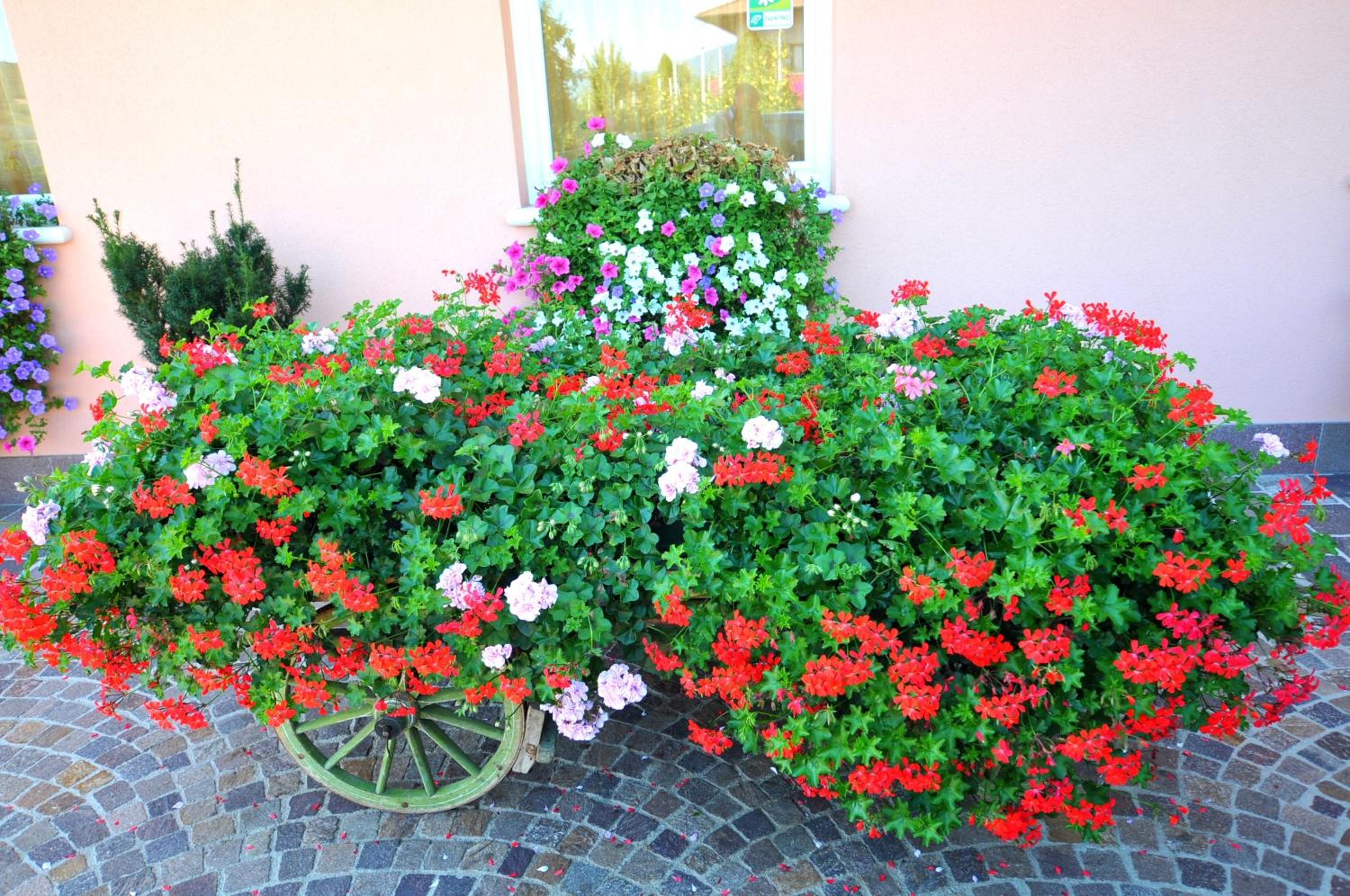 Photo 47