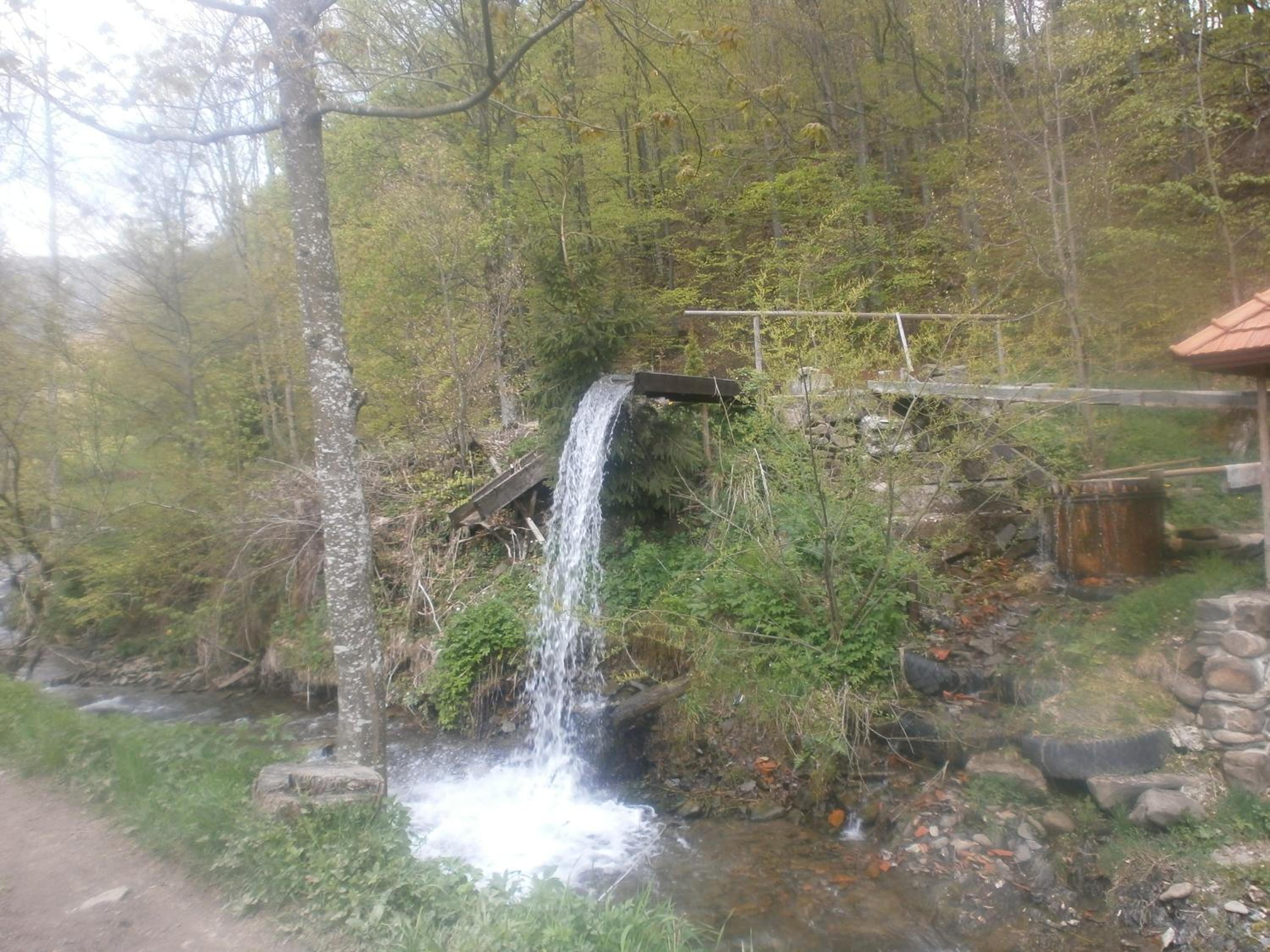 Photo 49