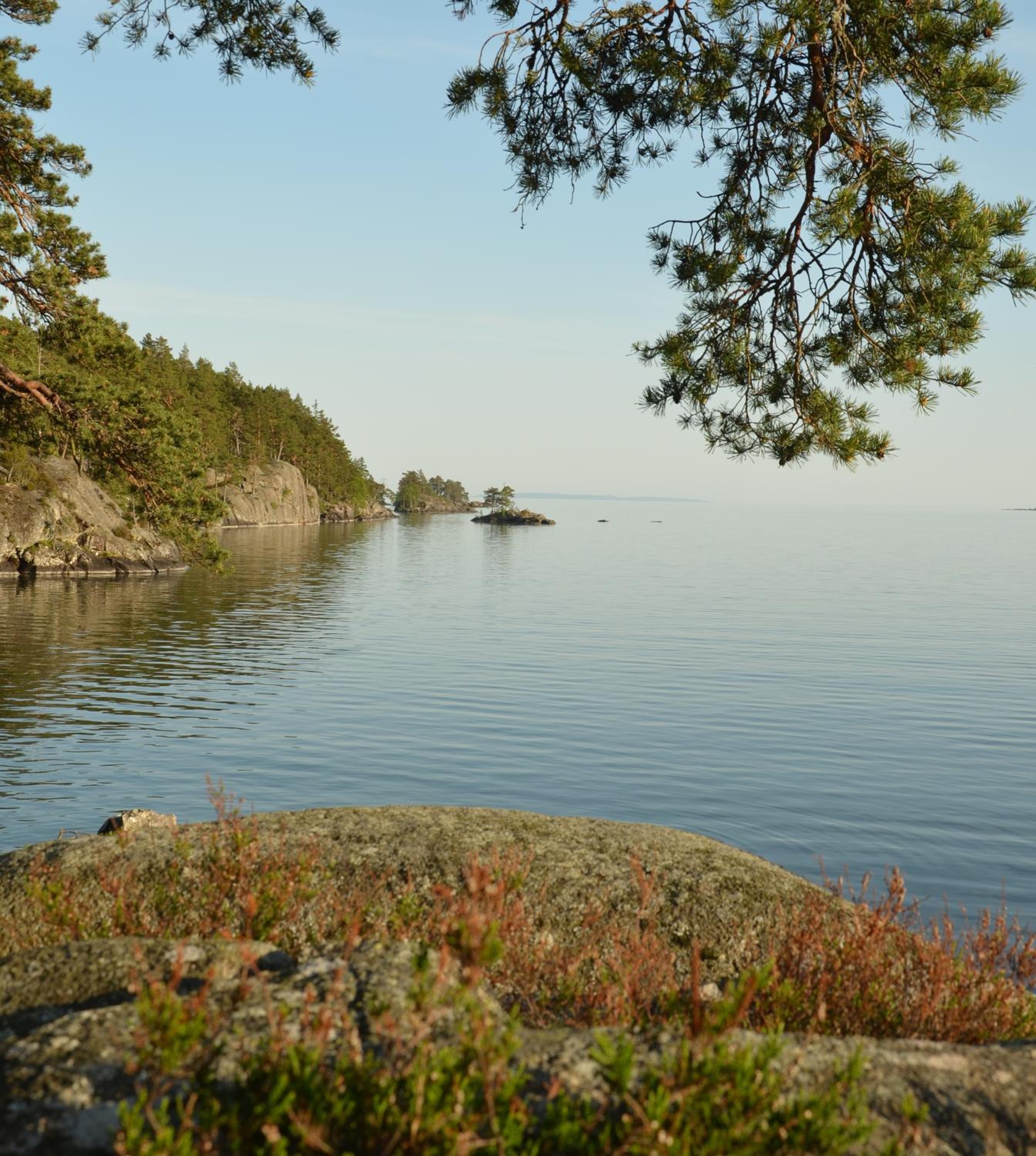 Photo 44