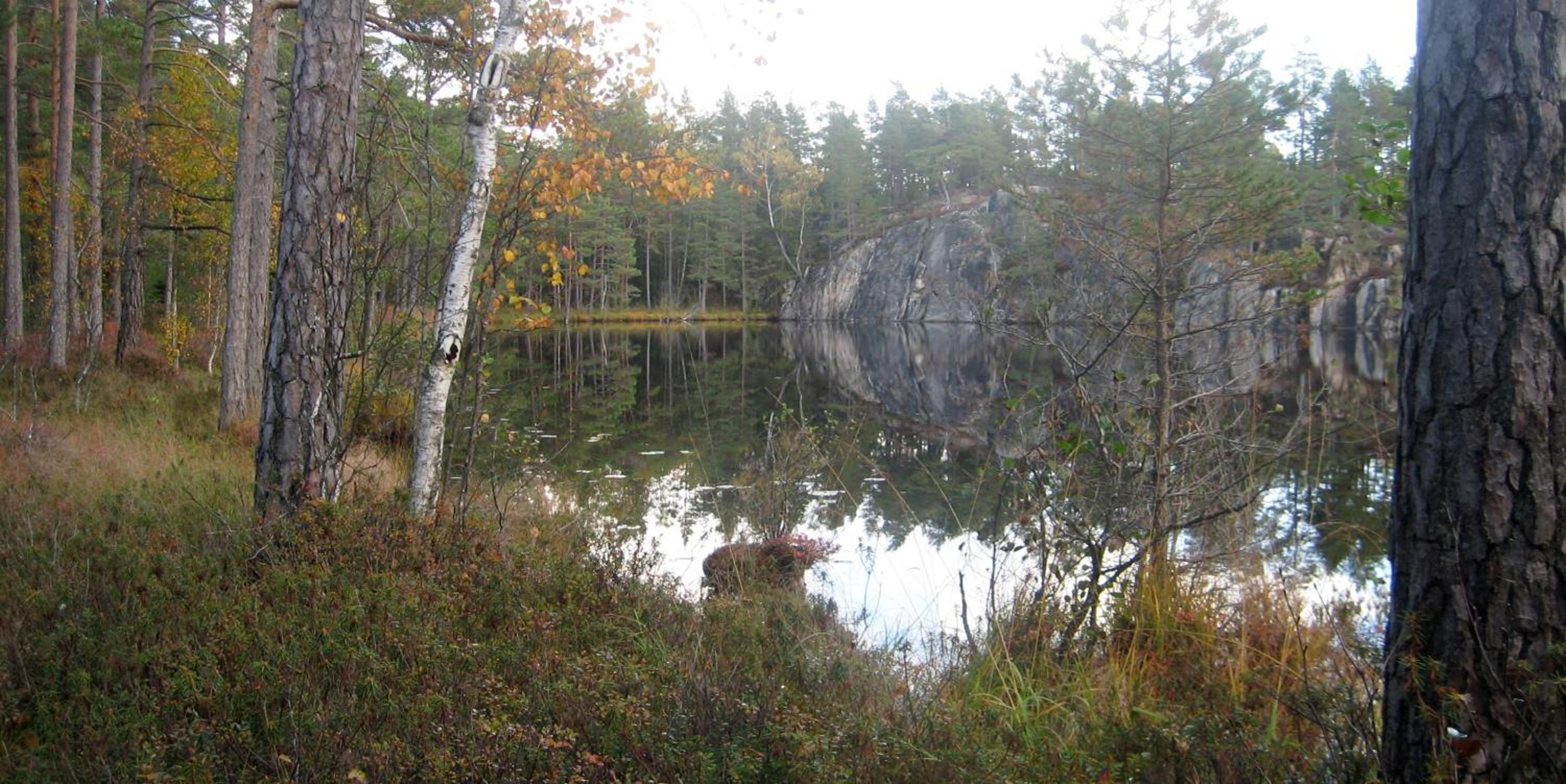 Photo 37