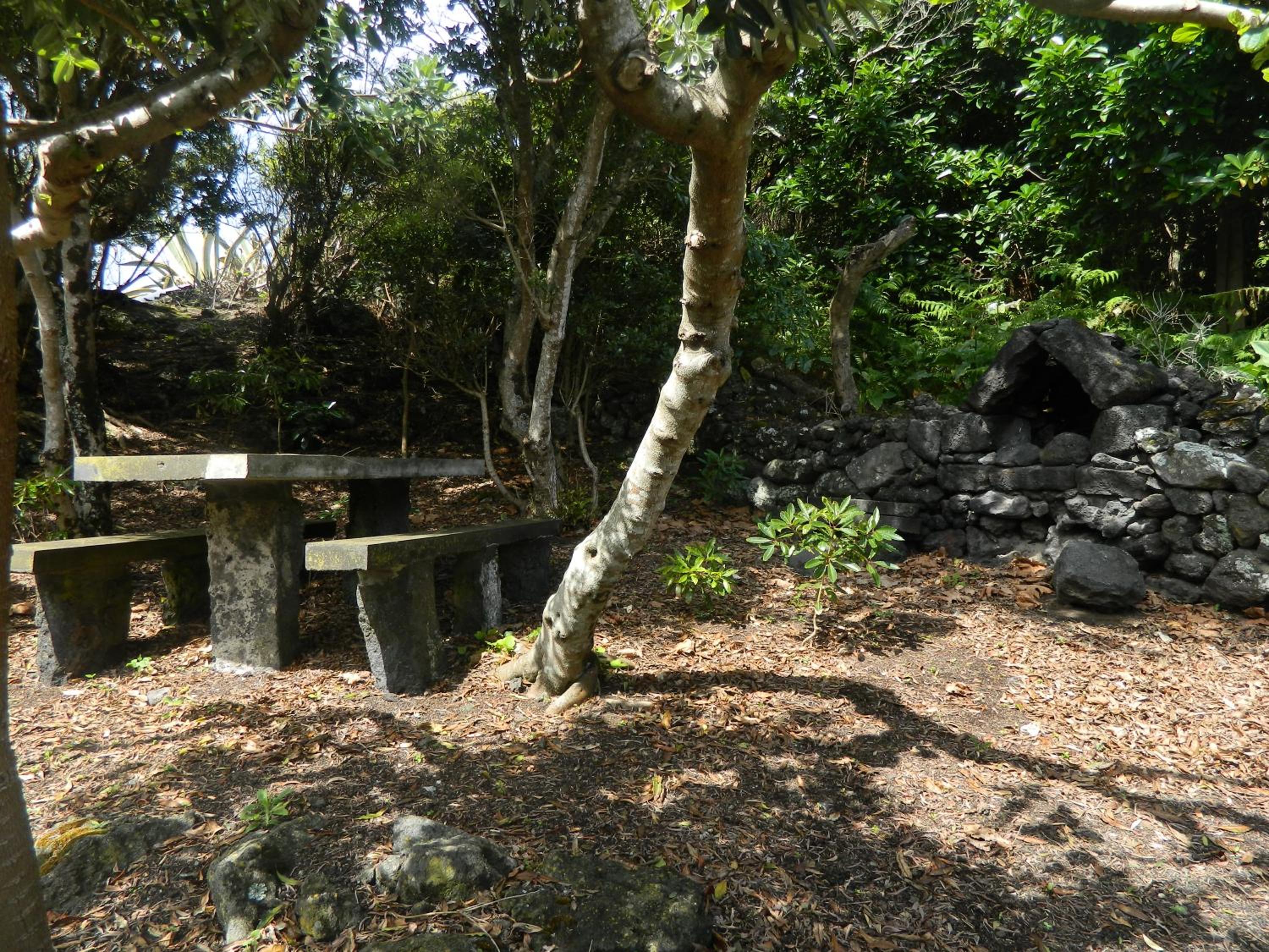 Photo 35