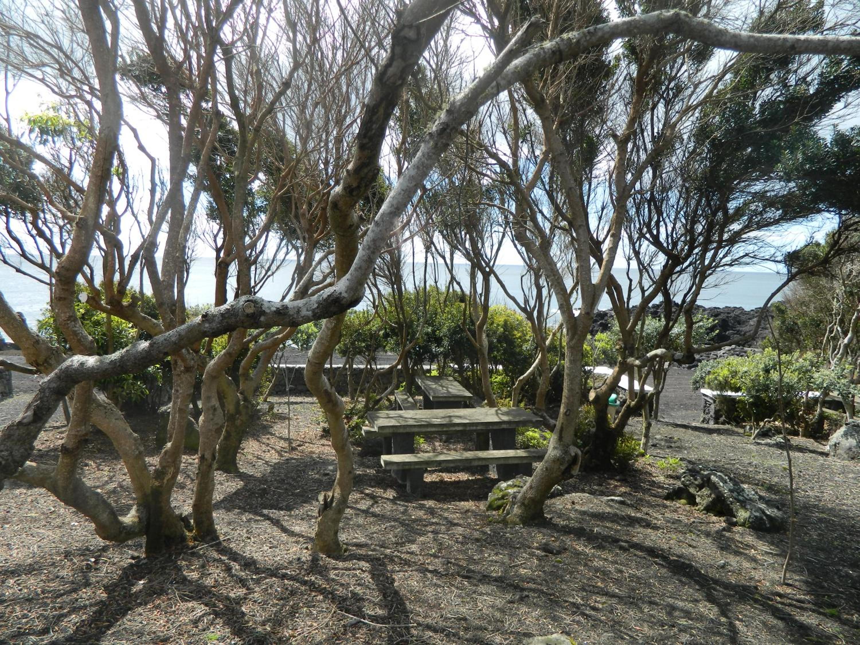 Photo 36