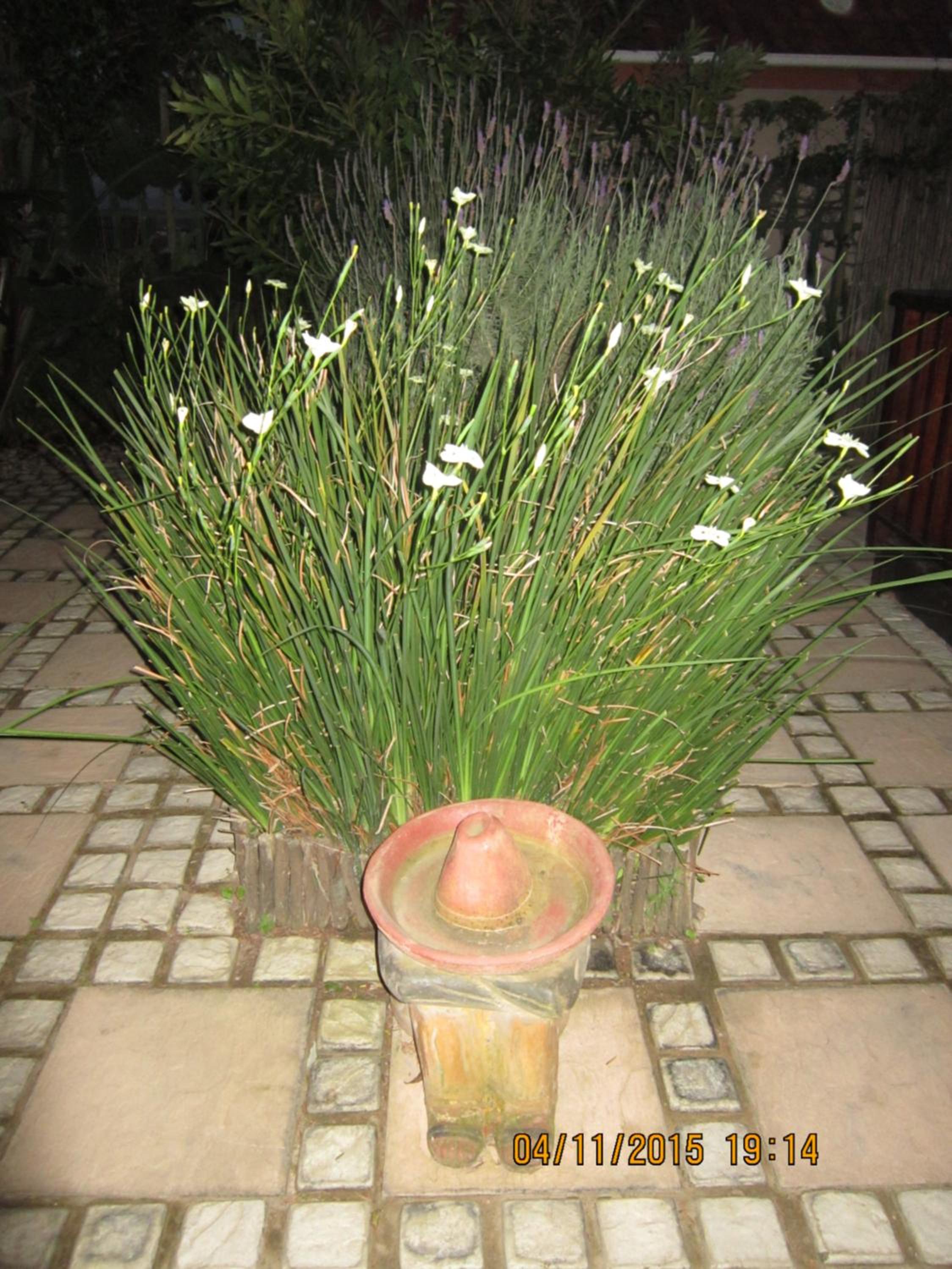 Photo 35