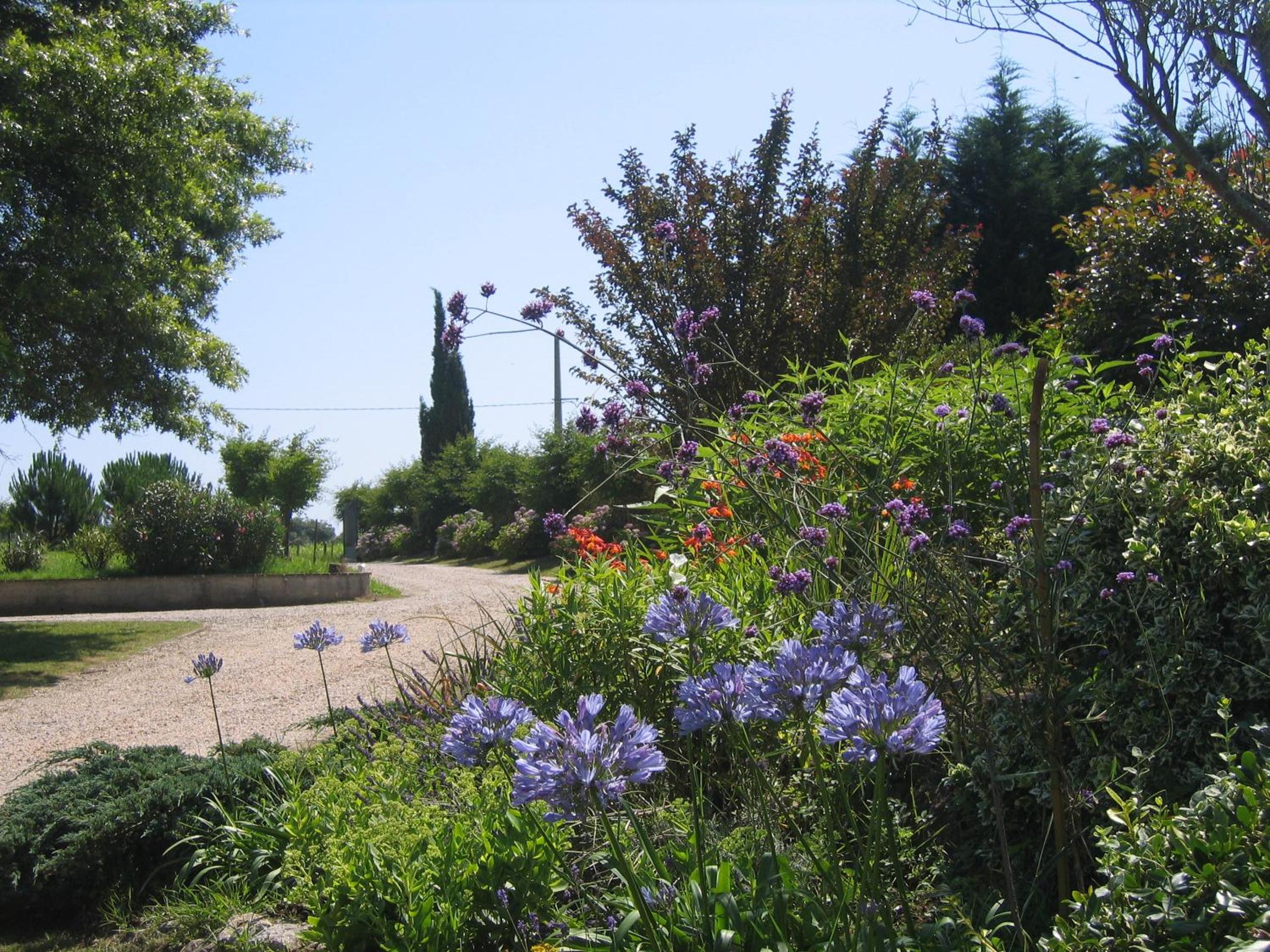 Domaine de Millox