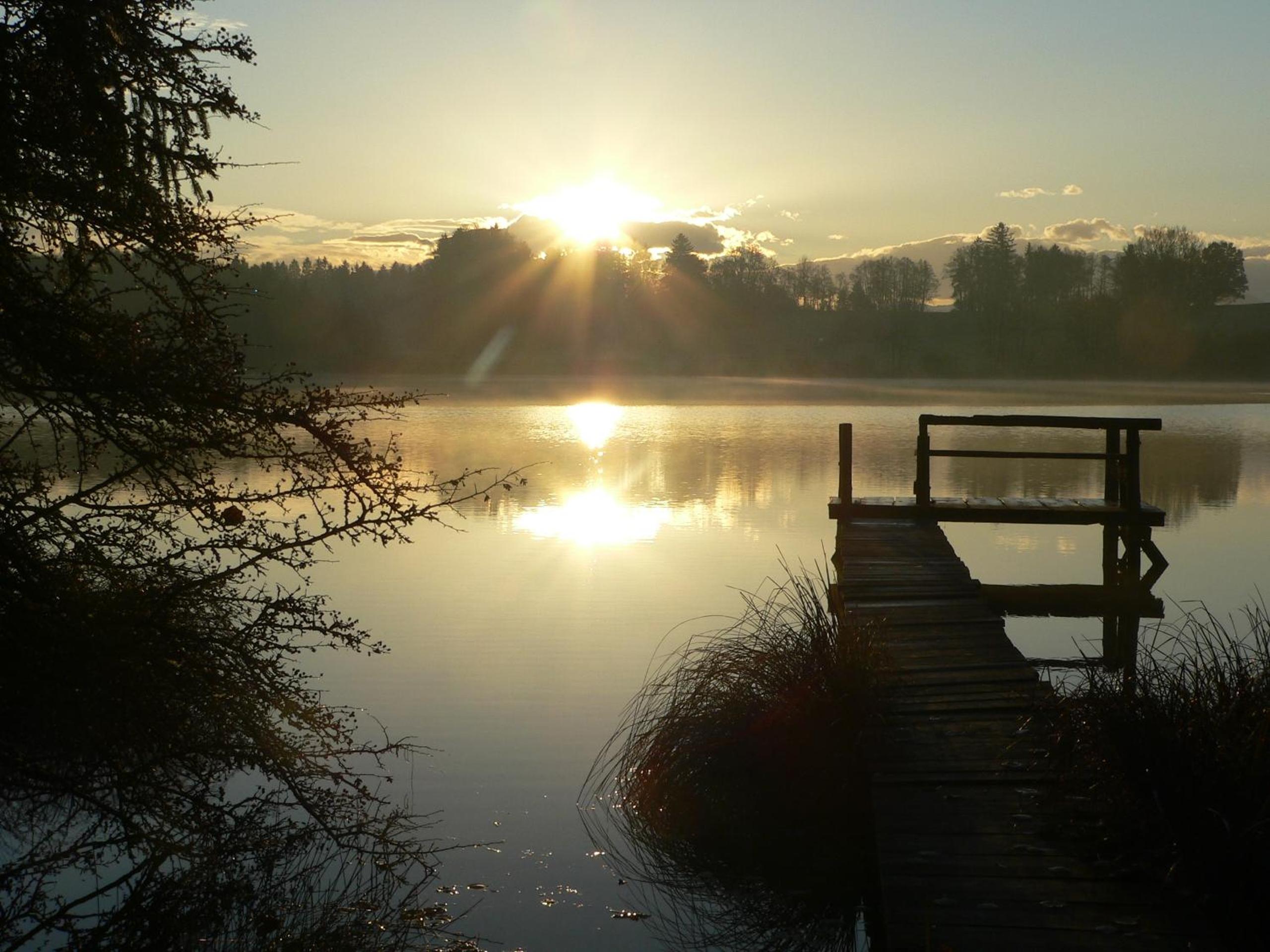 Photo 29