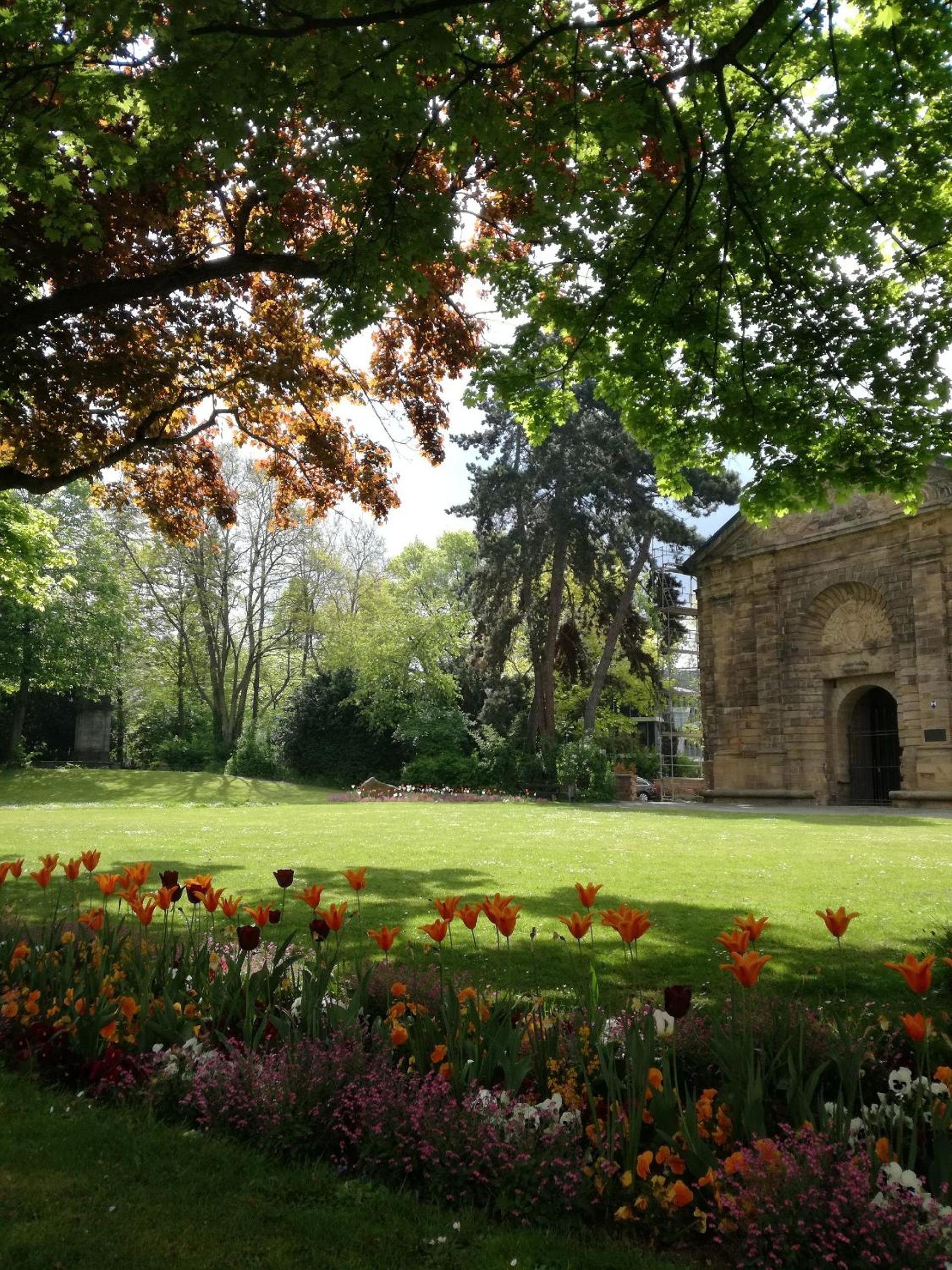 Photo 16