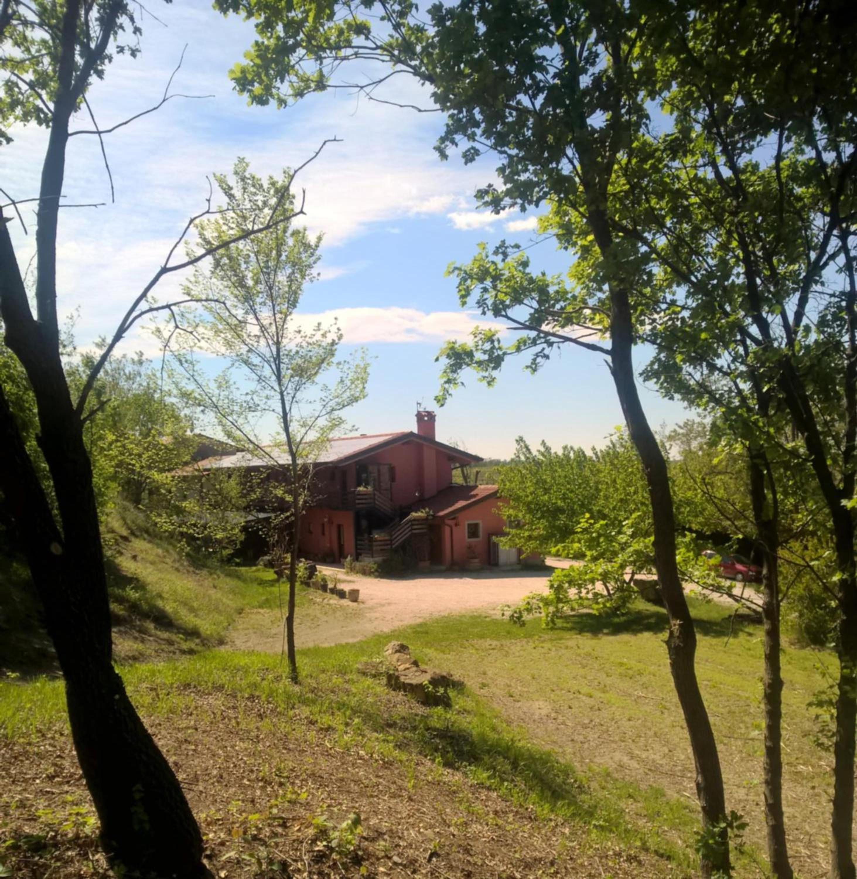 Photo 35