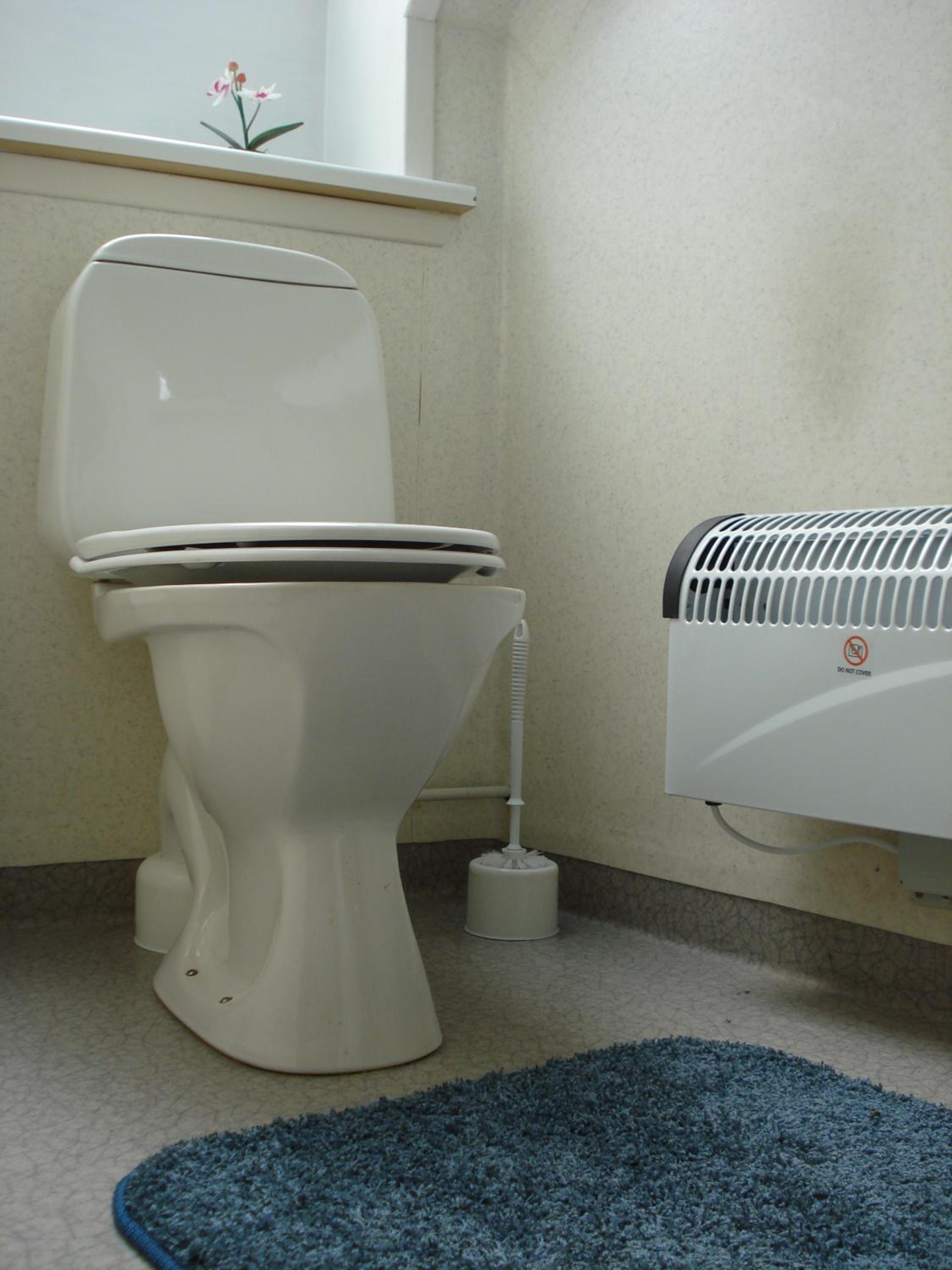 Photo 45