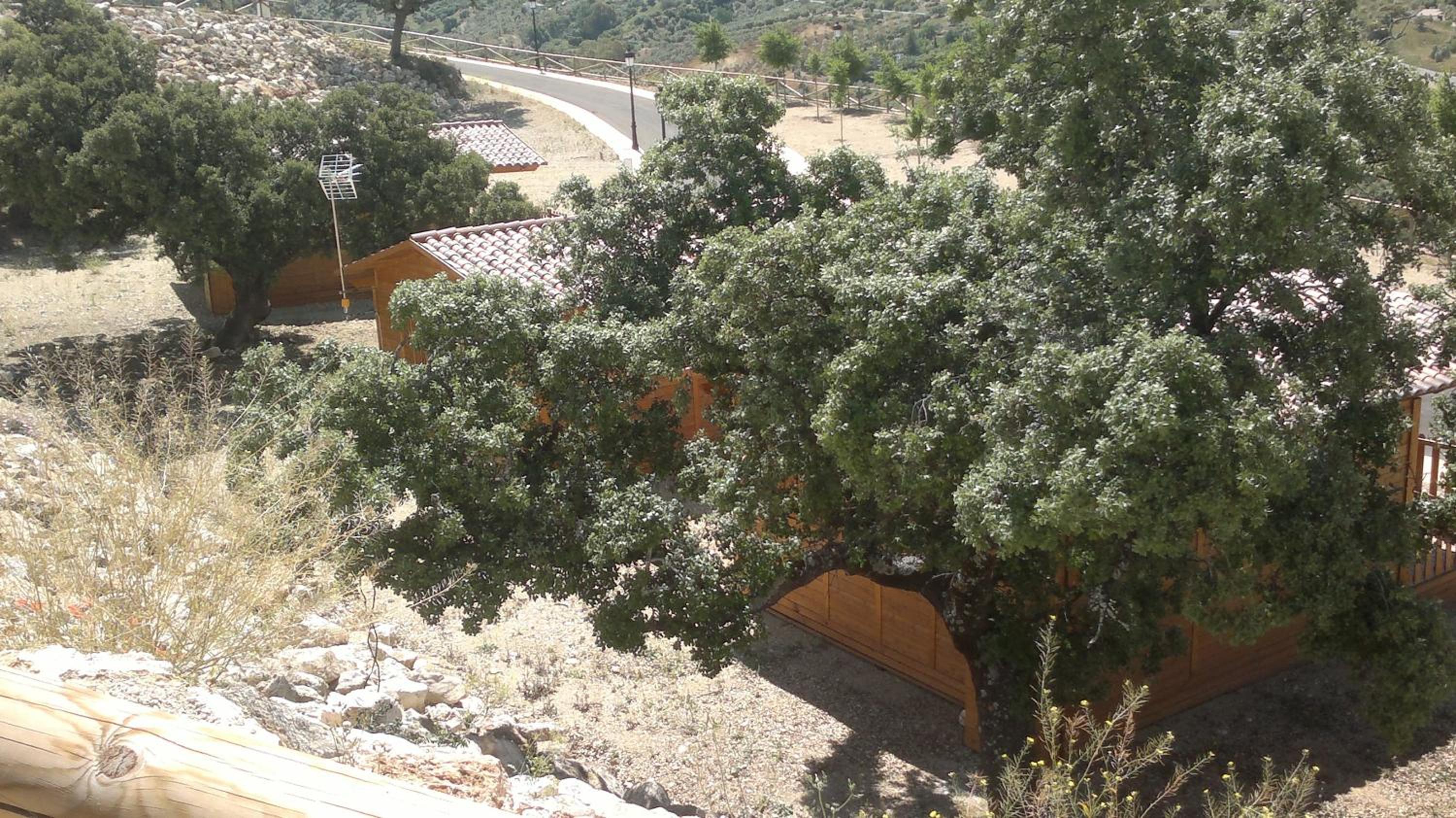 Complejo Pueblo Blanco