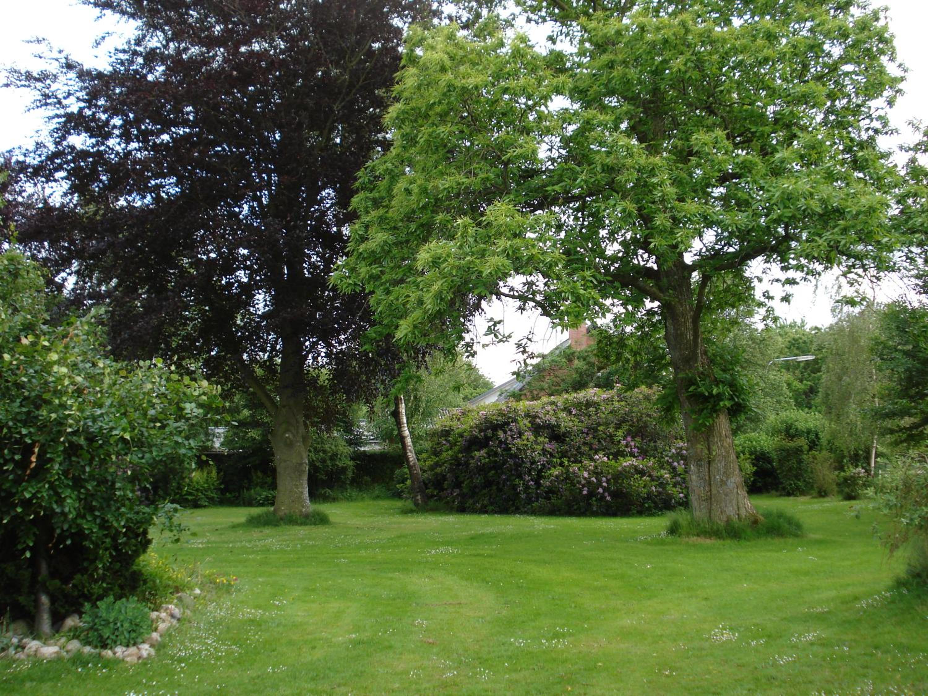 Photo 34