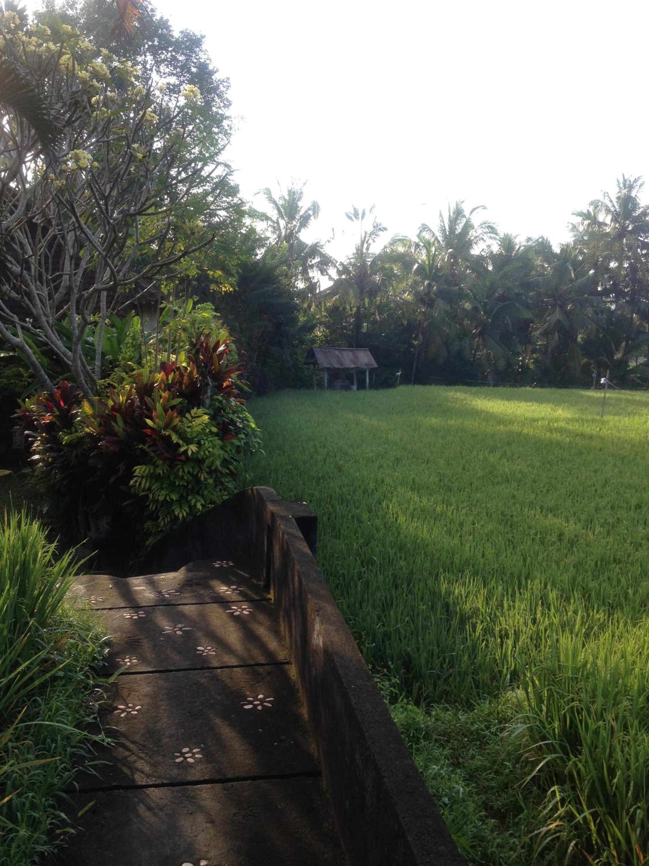Photo 22