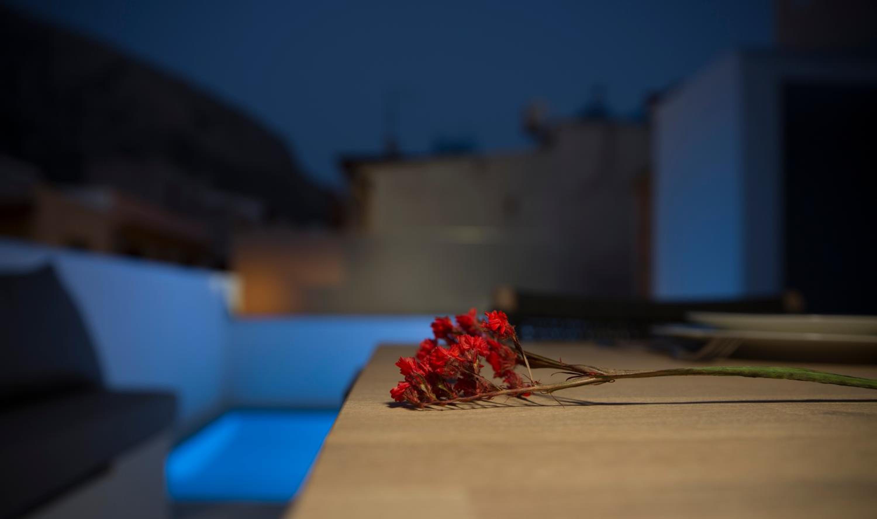 Settegrana