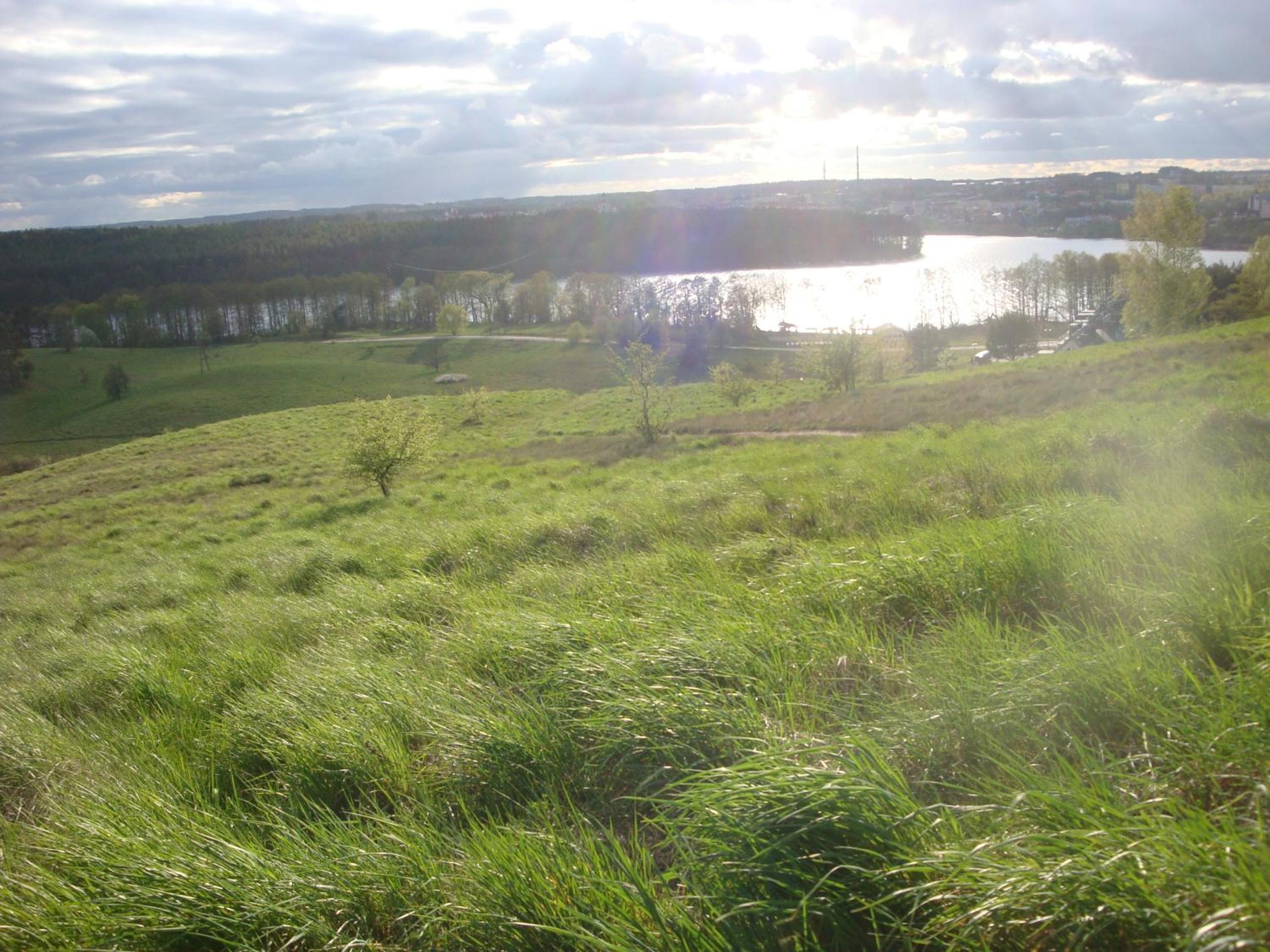 Photo 47