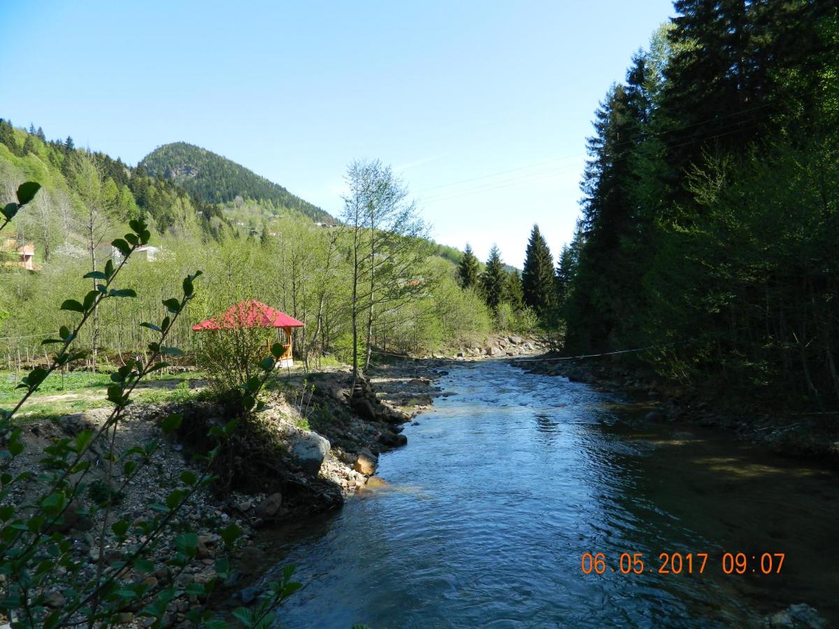 Photo 29