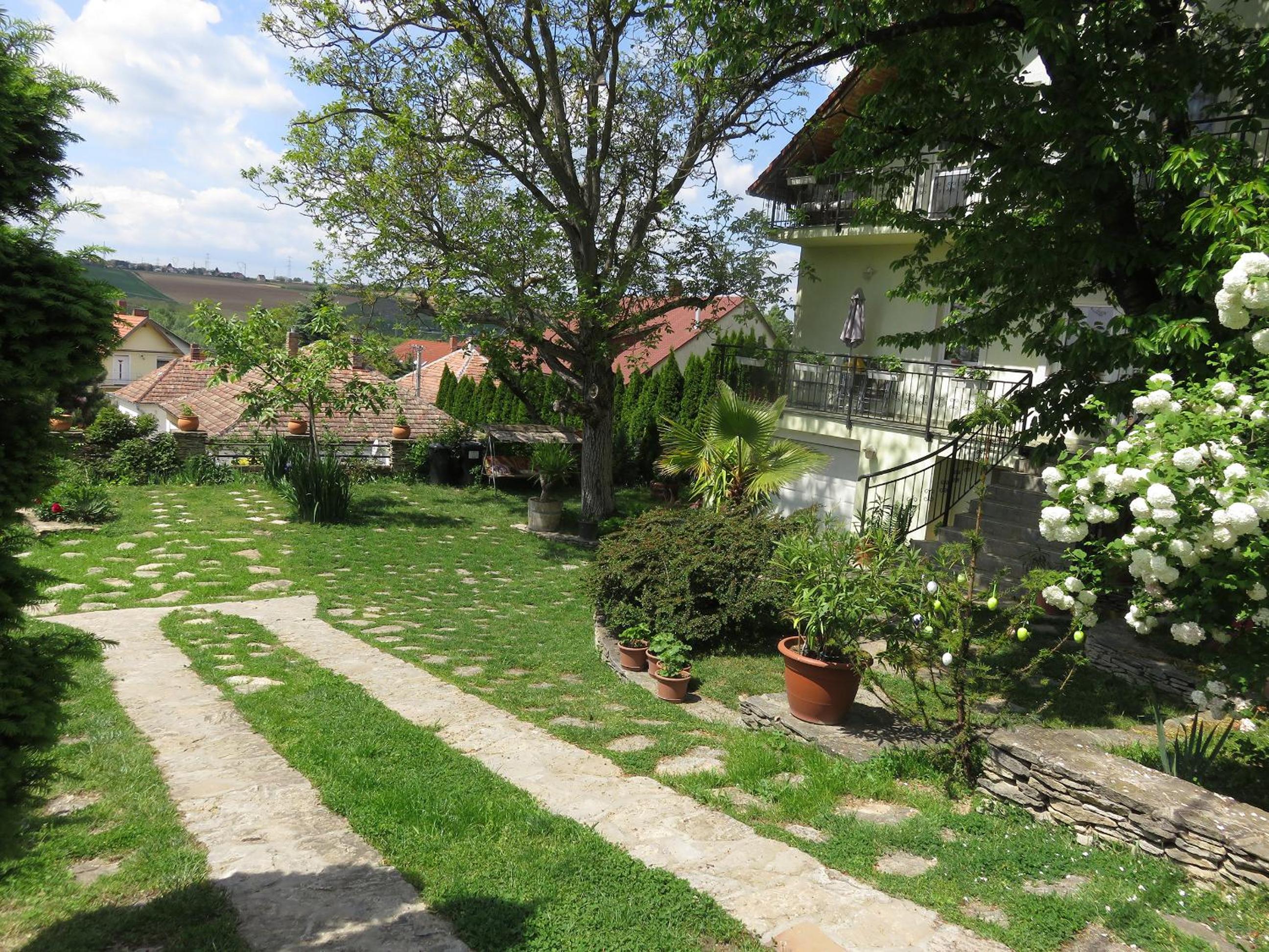 Photo 41