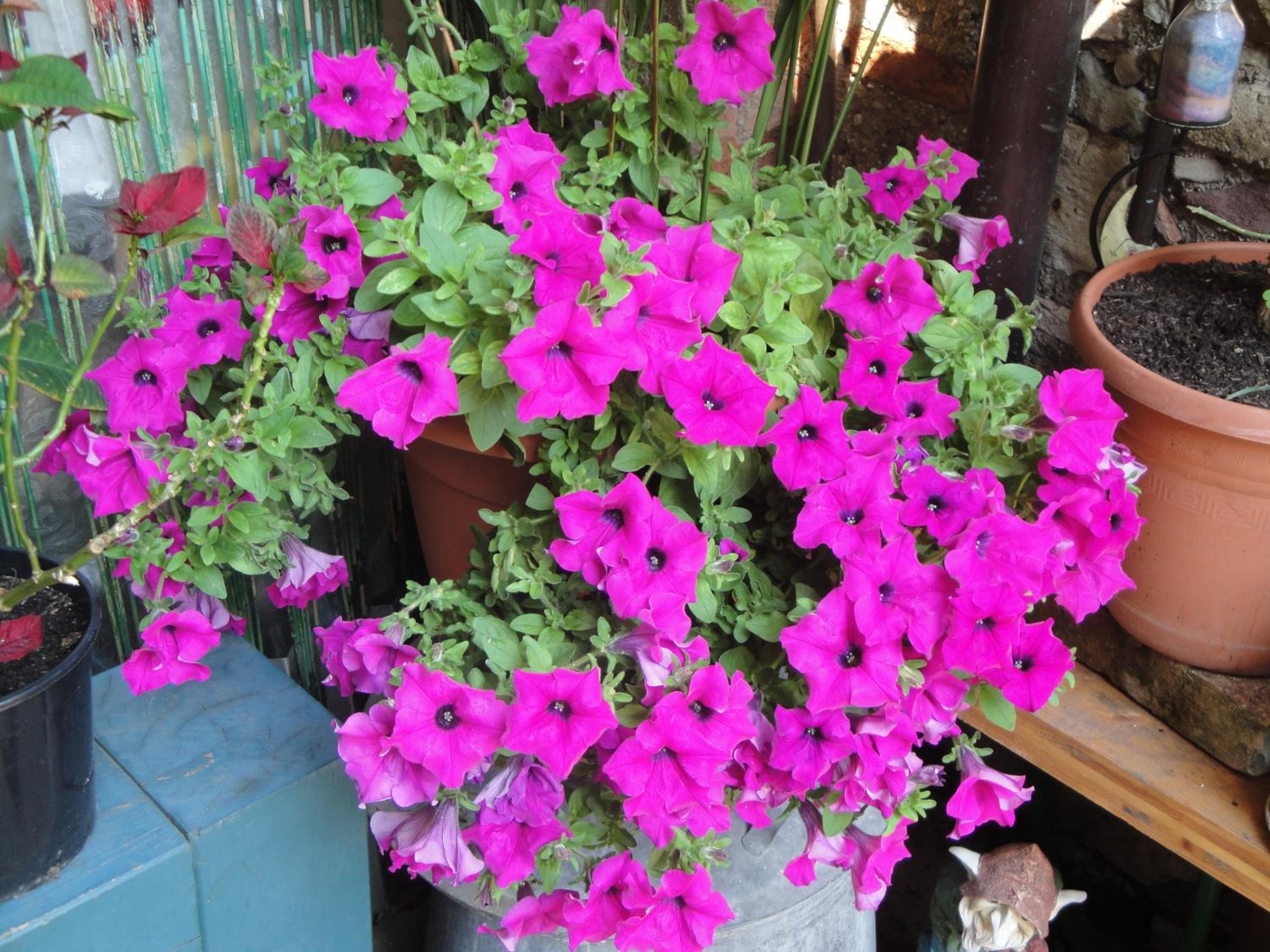 Photo 47
