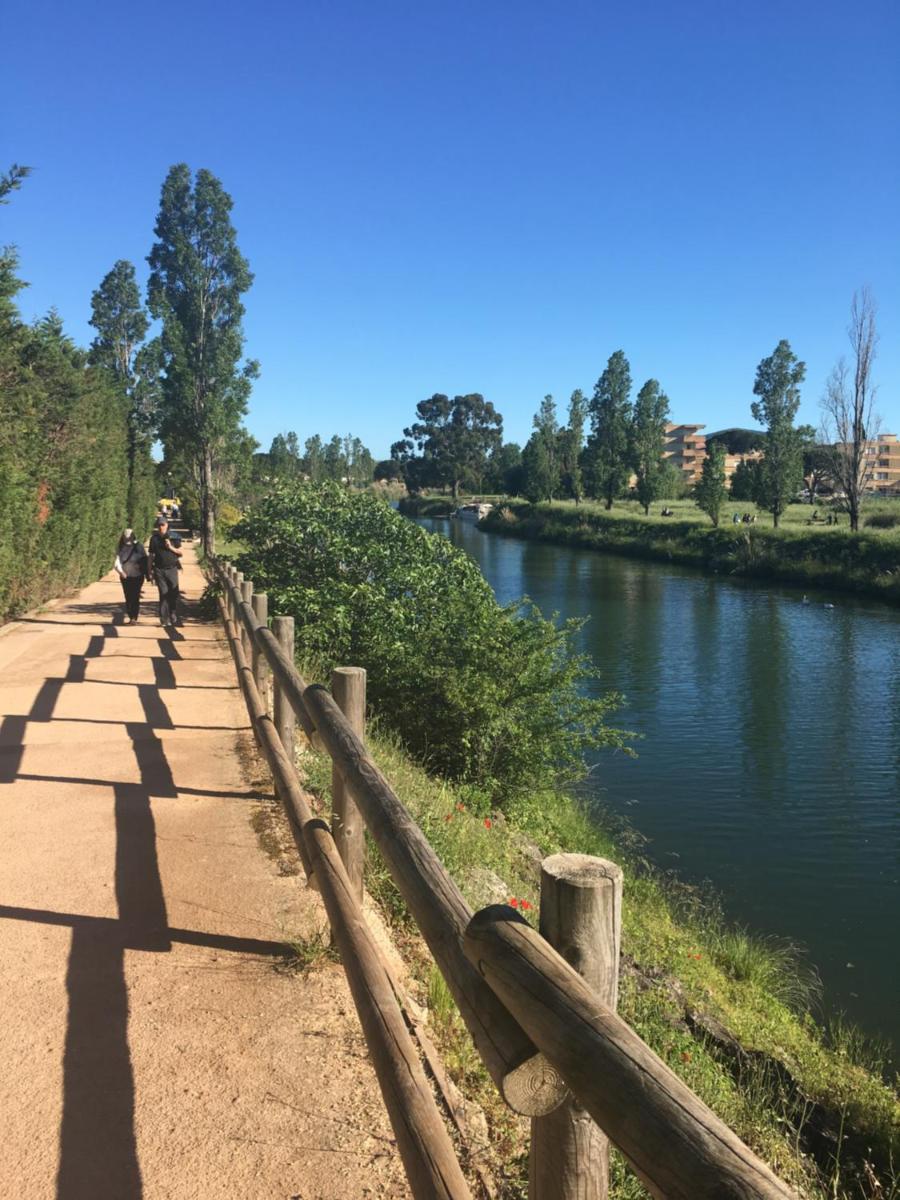 Photo 33
