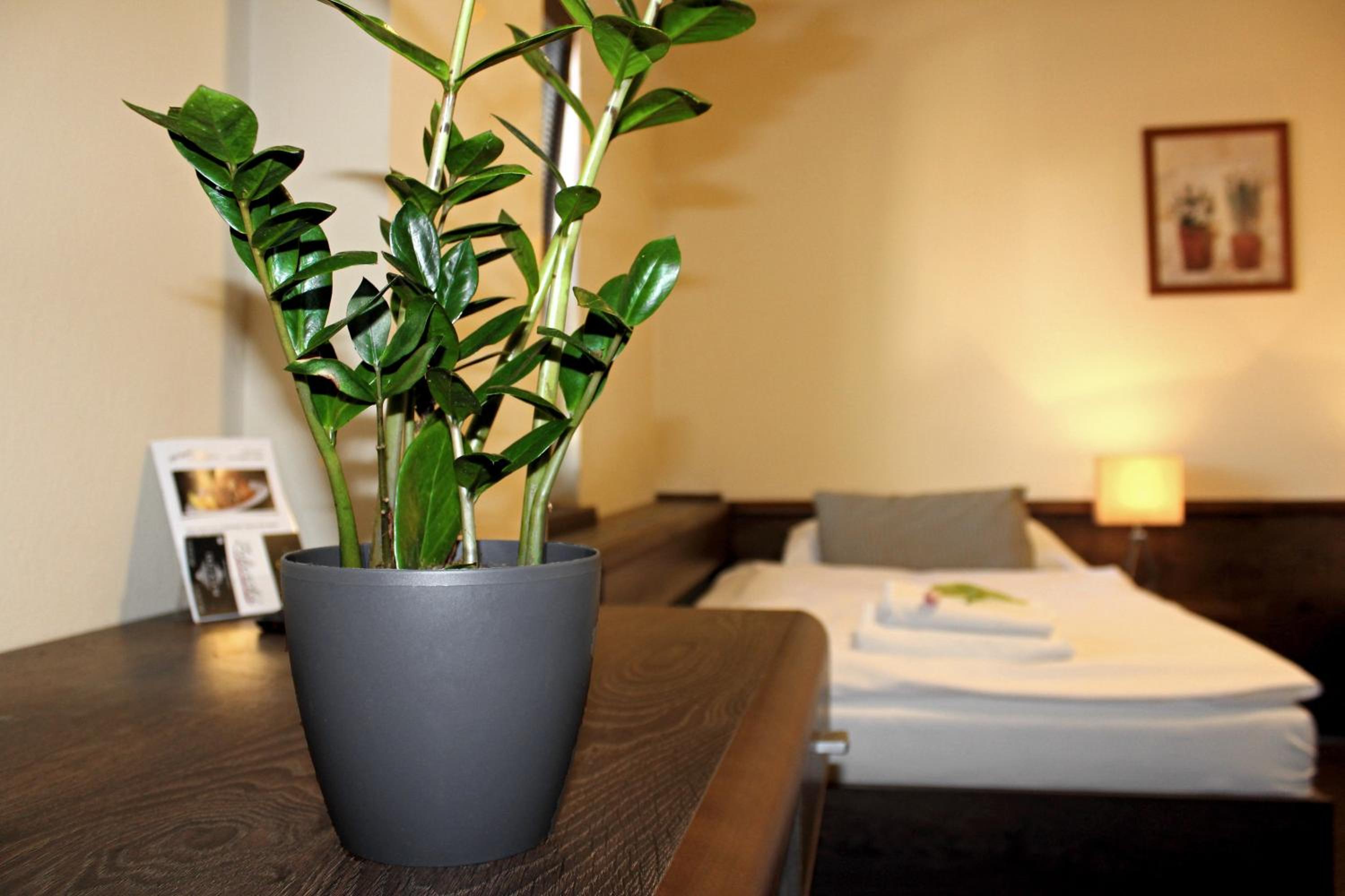 Penzión Wellness & Restaurant Zoborská, free parking