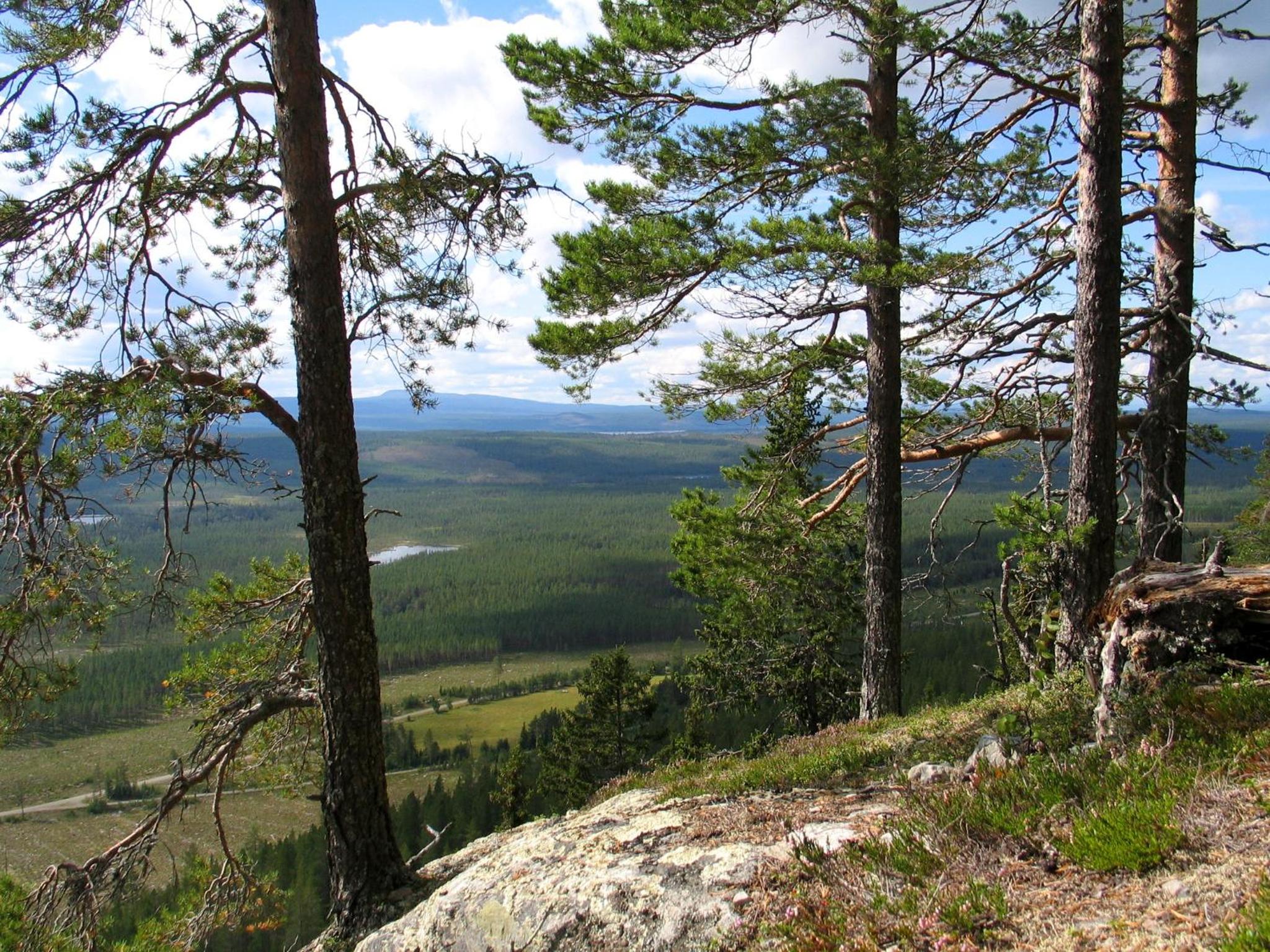 Galå Fjällgård