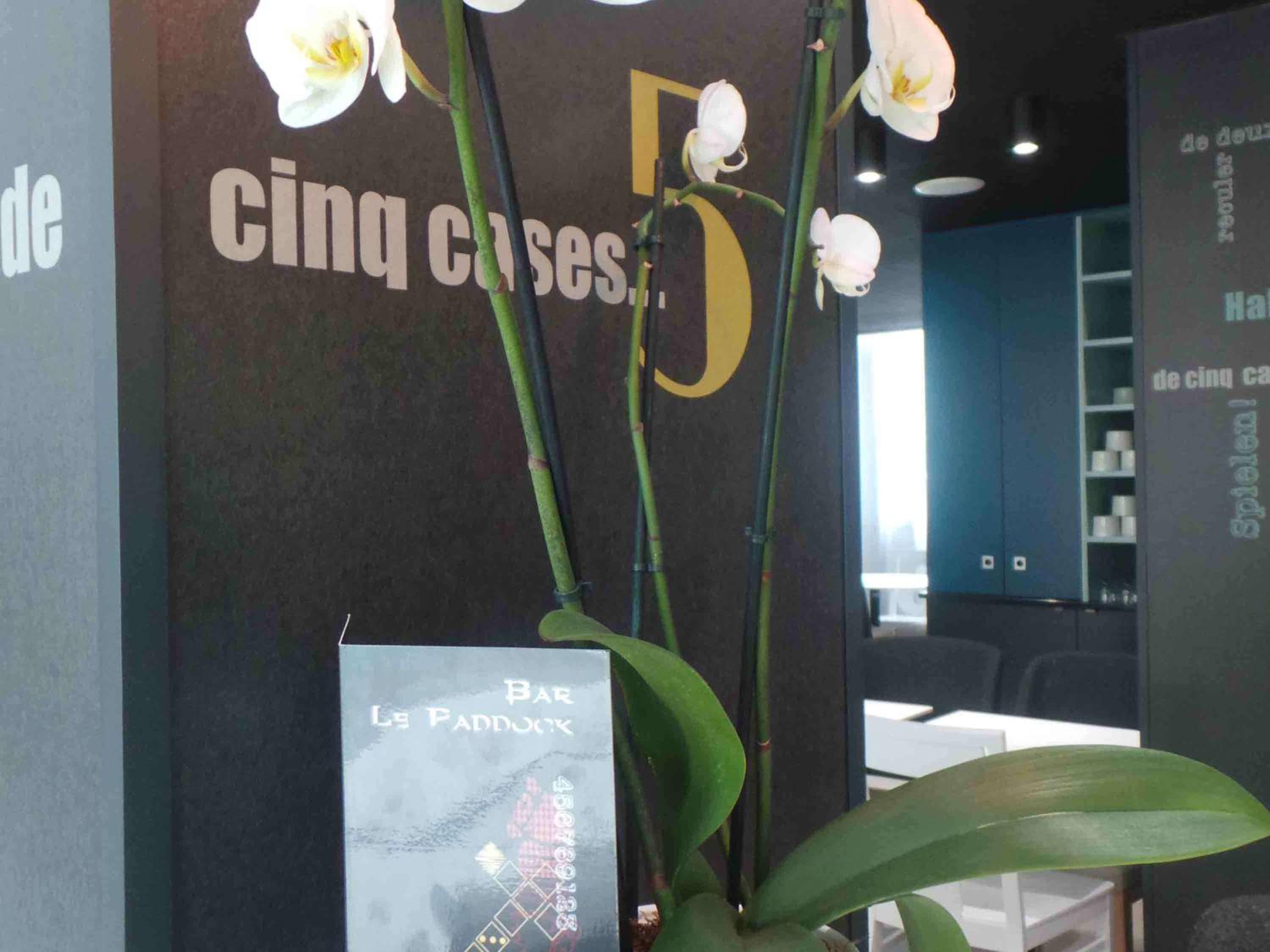 Deauville Vacations - ibis Styles Deauville Centre - Property Image 2