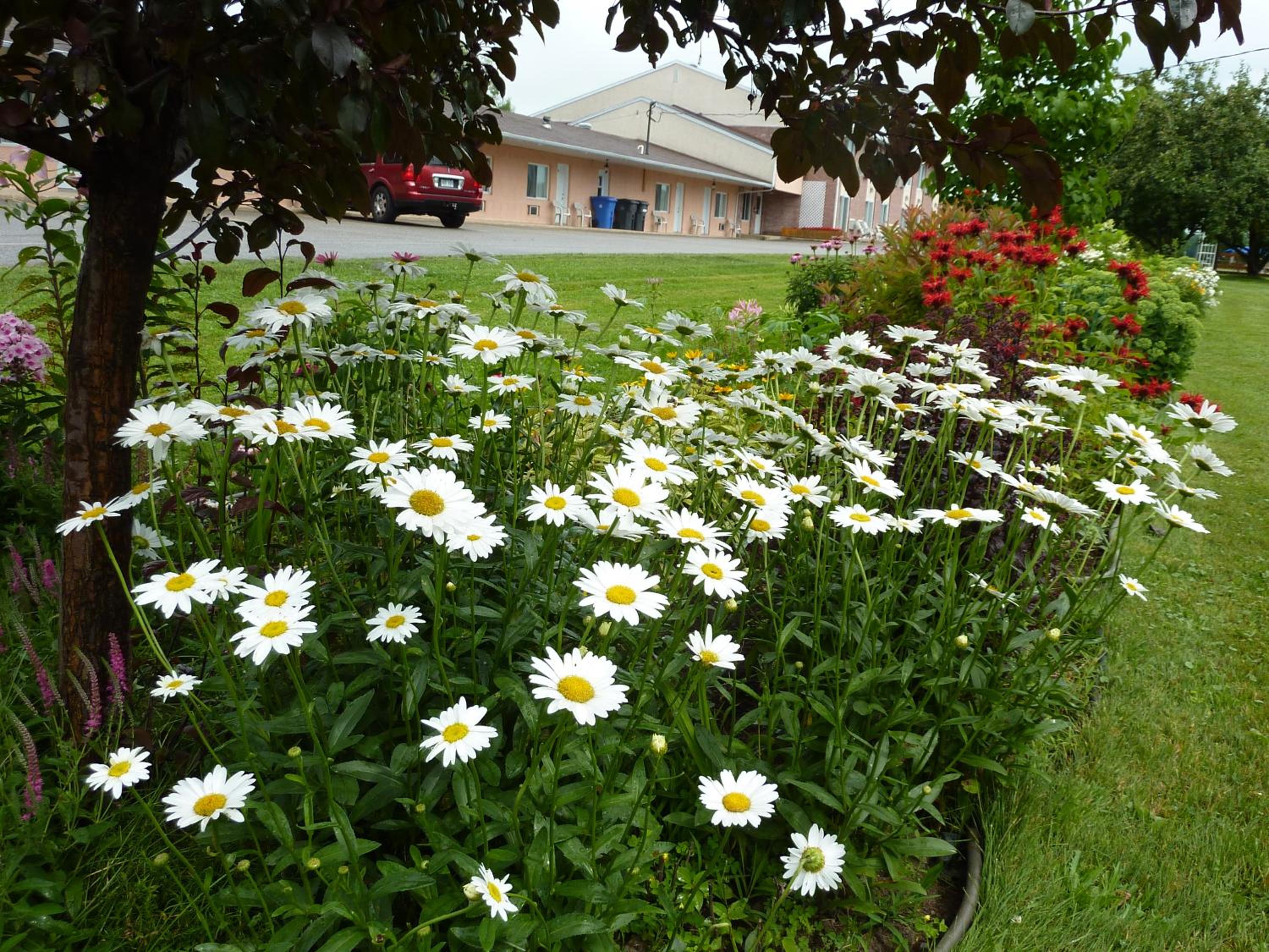 Motel Becancour