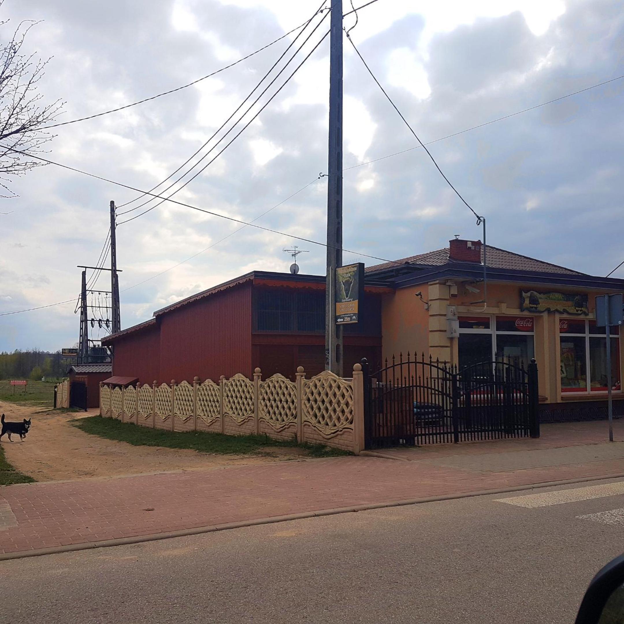 Photo 48